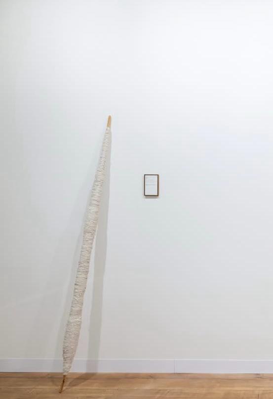 Opera di Shilpa Gupta