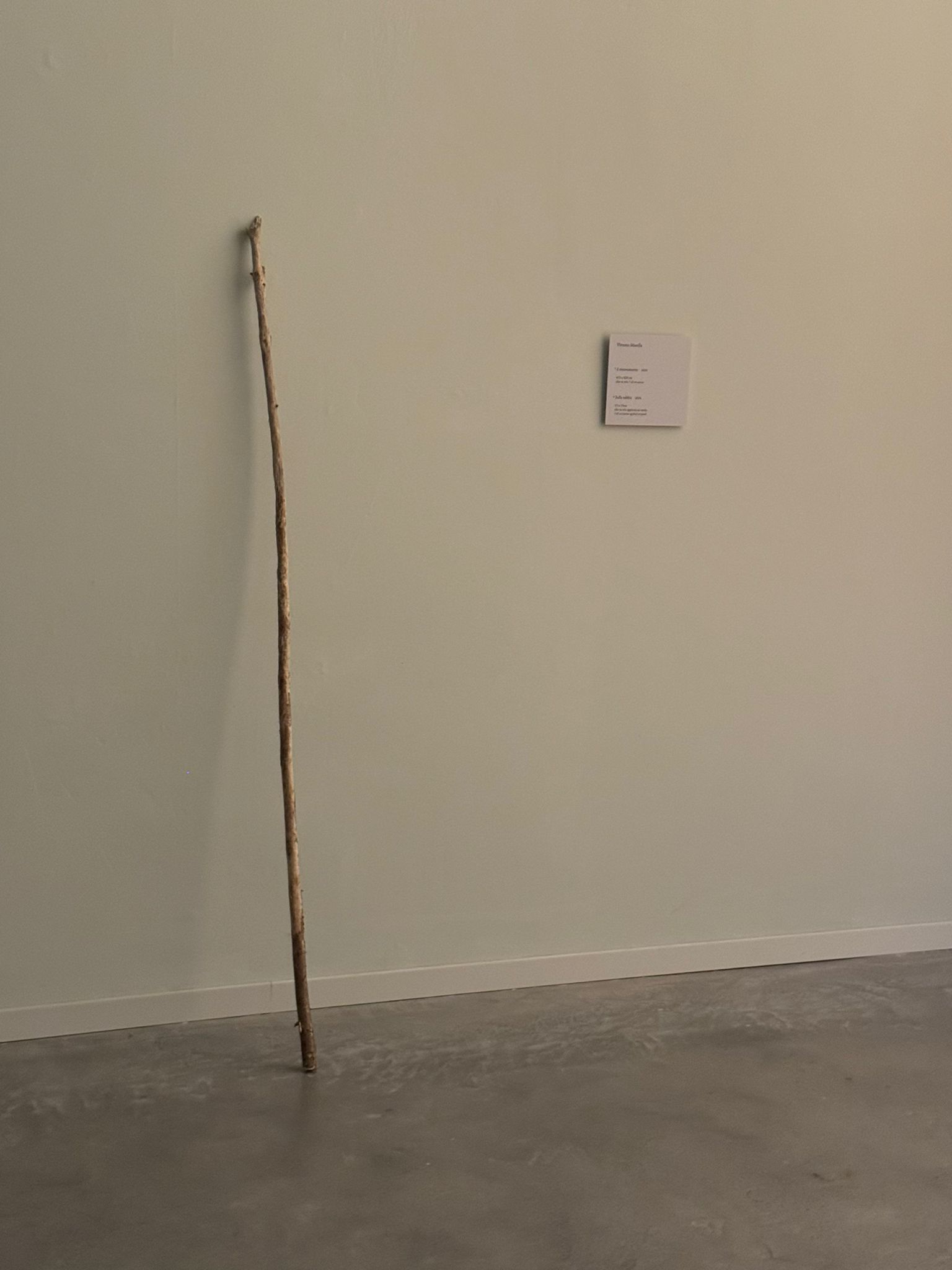 Opera di Vittorio Marella