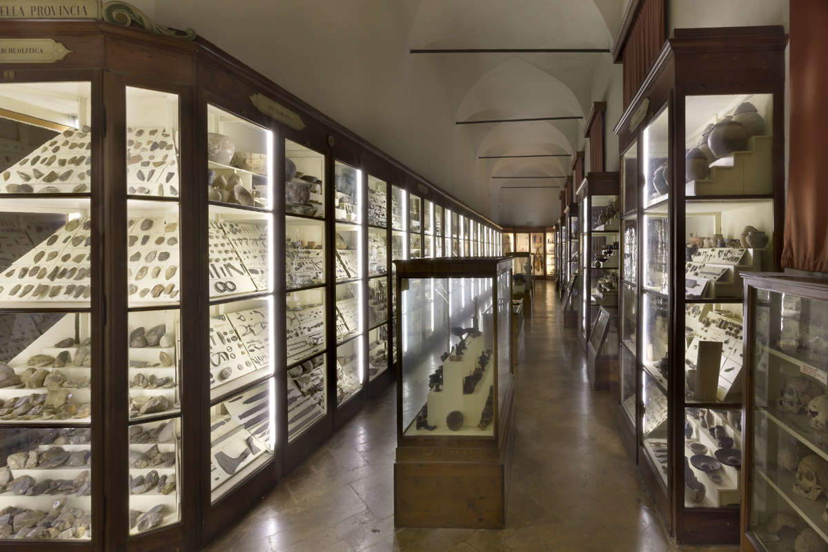 Museo de Paletnología Gaetano Chierici. Foto: C. Vannini / Museos Municipales de Reggio Emilia.