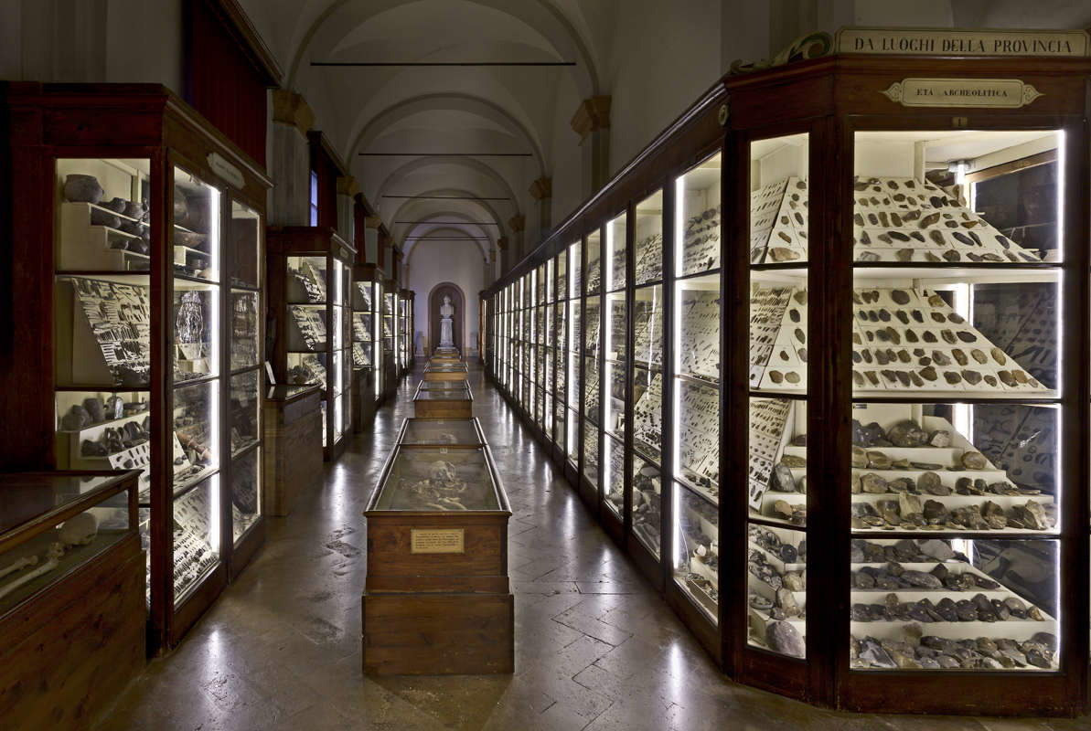 Museo de Paletnología Gaetano Chierici. Foto: C. Vannini / Museos Municipales de Reggio Emilia.