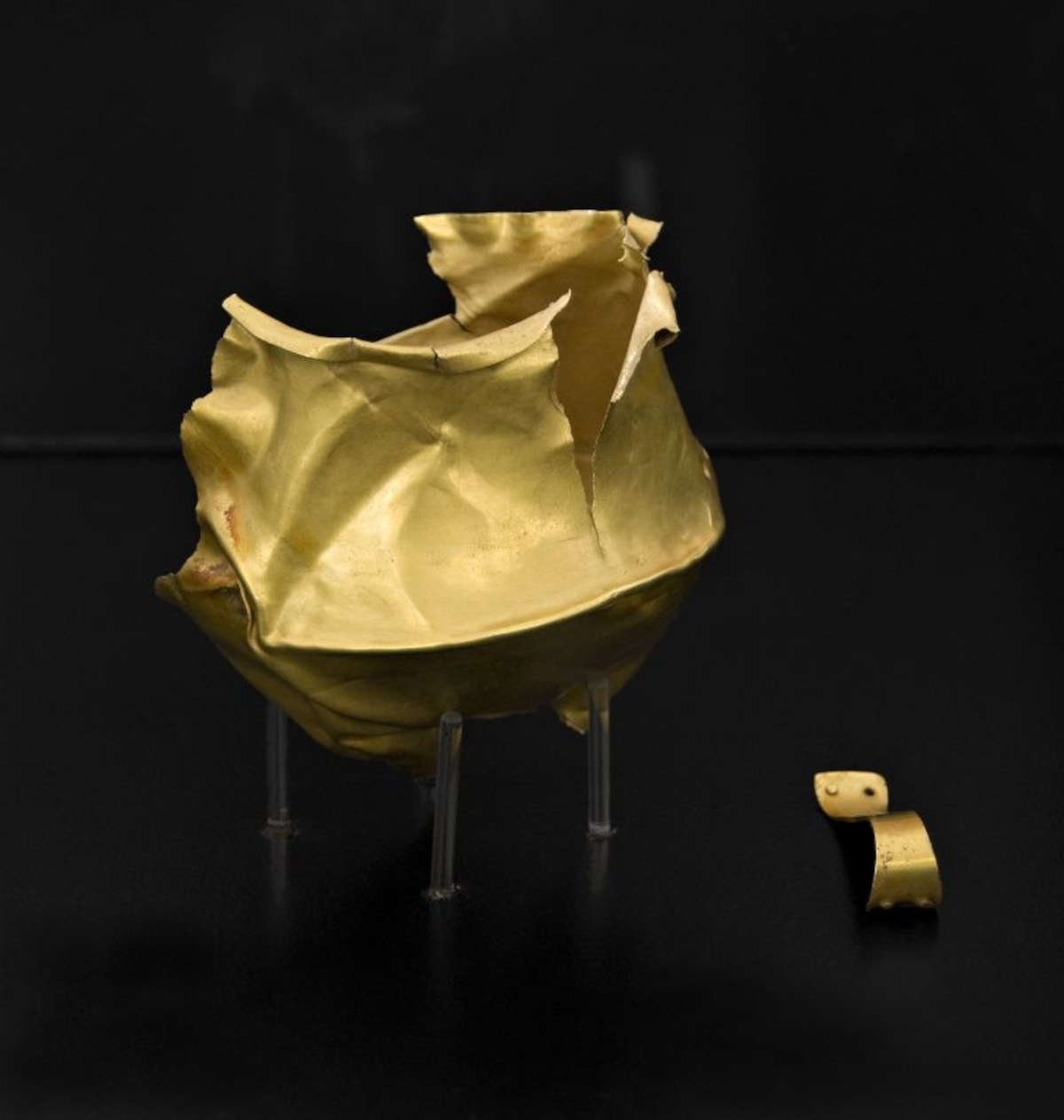 La copa de oro. Foto: C. Vannini / Museos Municipales de Reggio Emilia