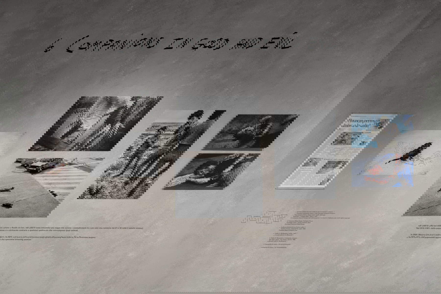 Allestimenti della mostra Sue&ntilde;o Perro. Foto: DSL Studio &ndash; Delfino Sisto Legnani e Melania Dalle Grave. Su concessione di Fondazione Prada