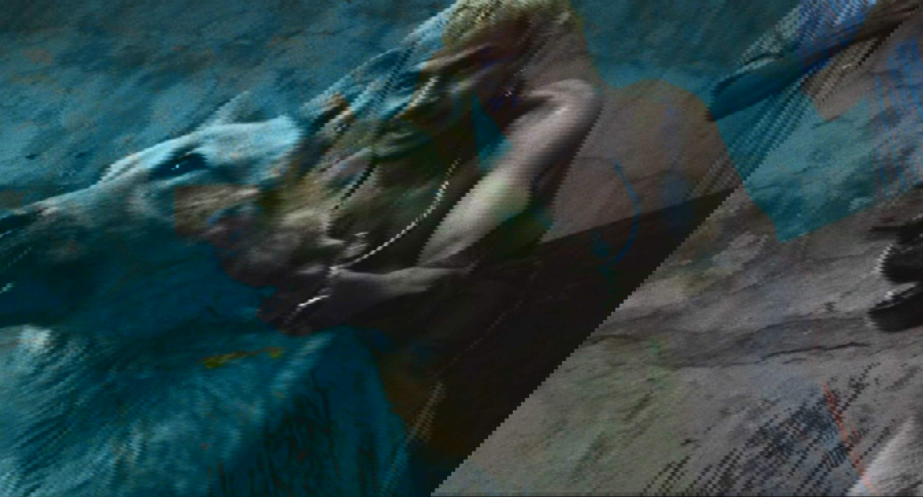 Fotogramma del film Amores Perros (2000) di Alejandro G. I&ntilde;&aacute;rritu