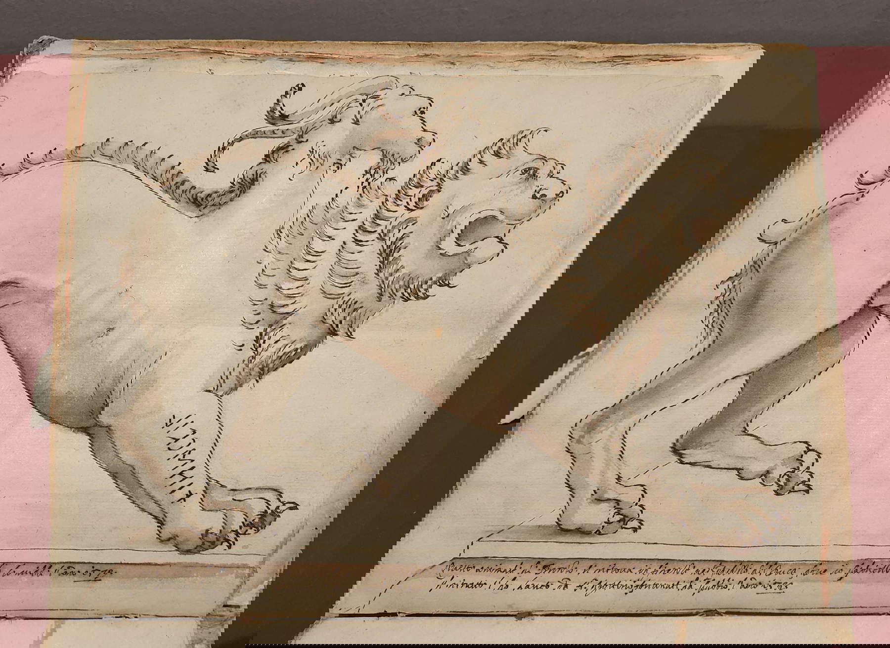 Artiste inconnu, Chimère d'Arezzo (1583? ; plume et encre aquarellée, 300 &times; 230 mm ; Pérouse, Archives d'État de Pérouse, section de Gubbio, Fondo Armanni, ms. II A 20 Alphabet pour les planches, c. 30r)