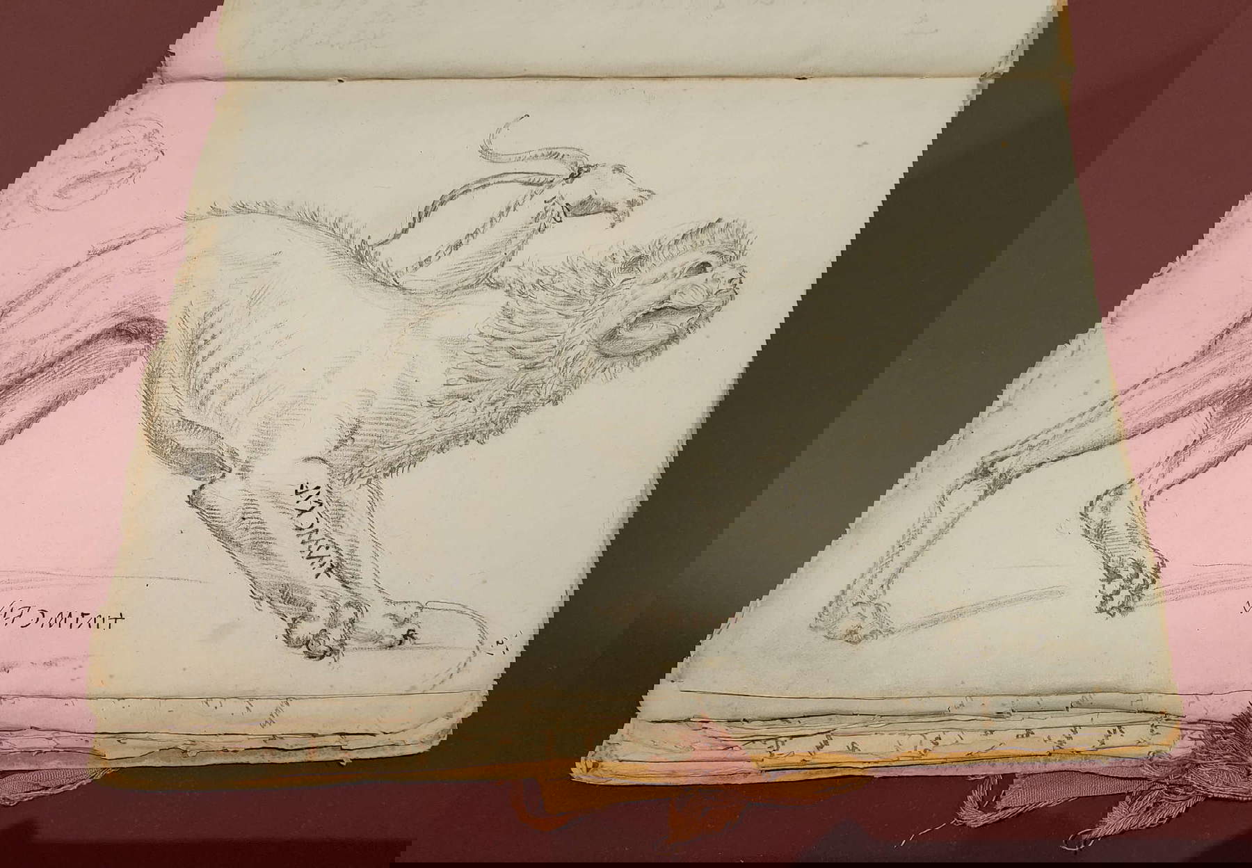 Artiste inconnu, Chimère d'Arezzo (1586 ; pierre noire ?, 305 &times; 235 mm ; Pérouse, Archives d'État de Pérouse, section Gubbio, Fondo Armanni, ms. I C 9 Dell'antichit&agrave; di Gubbio, e sue tavole di bronzo, c. 21r)