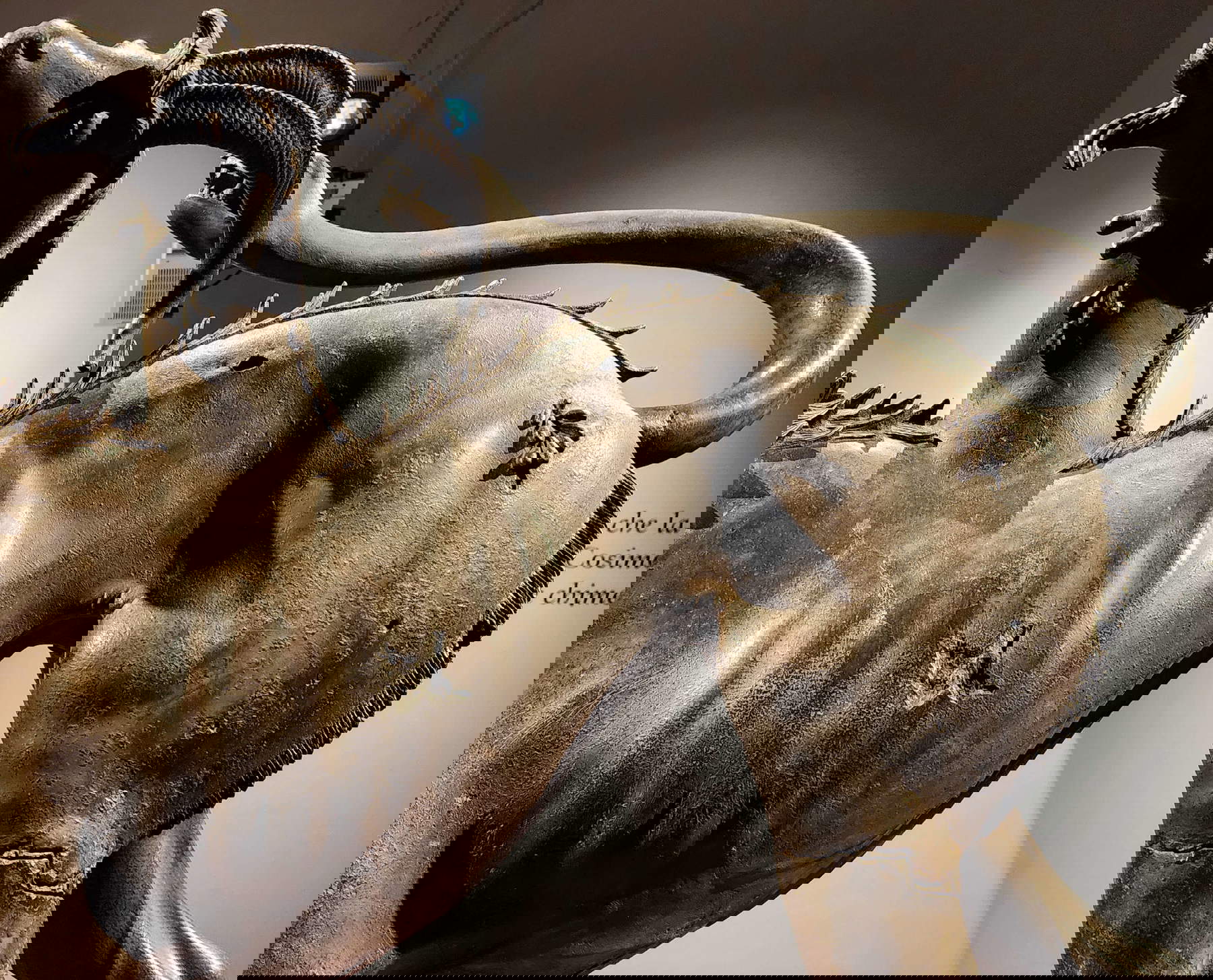 Le détail des blessures sur le corps de la Chimère