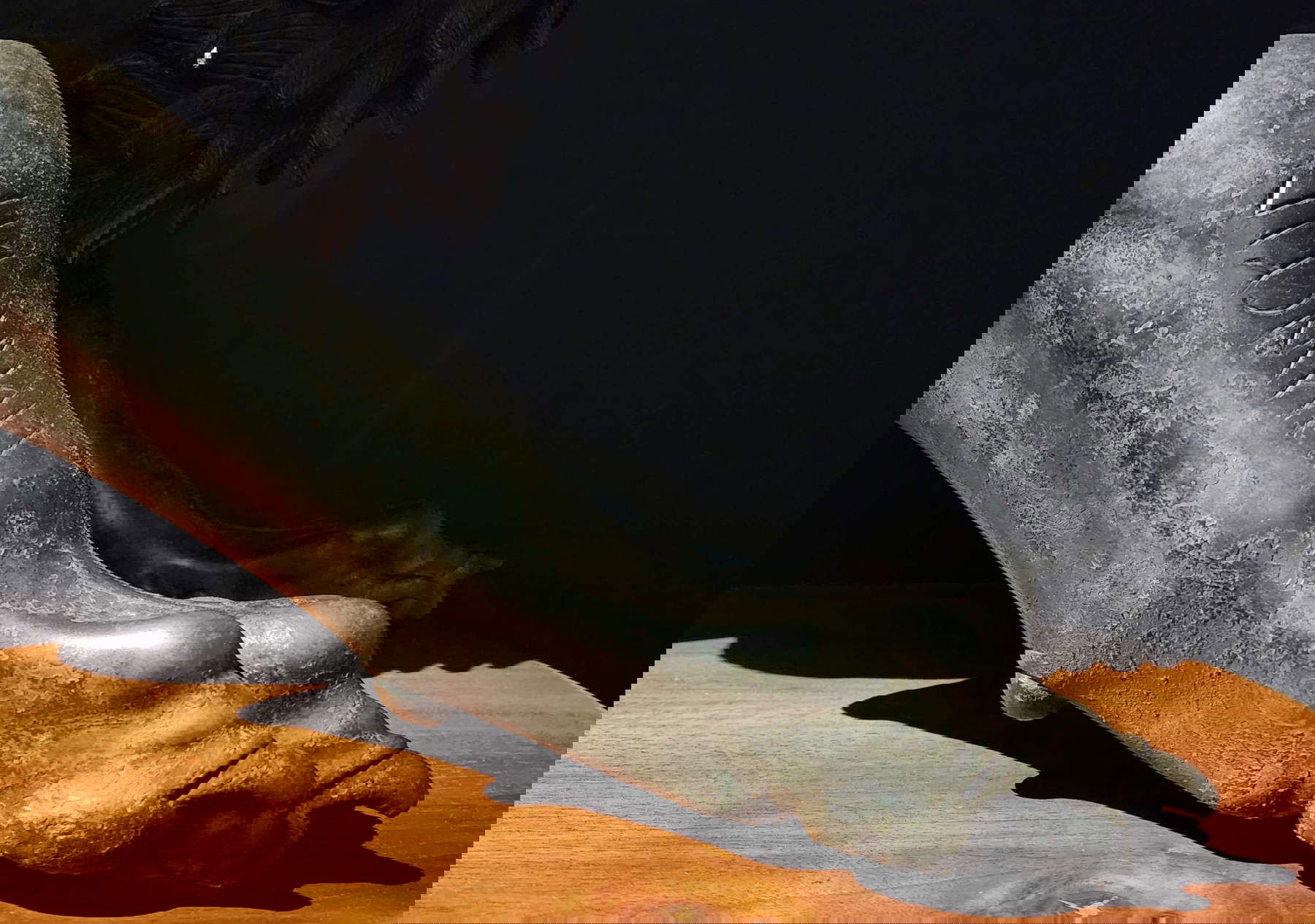 L'inscription TINSCVIL sur la patte de la Chimère d'Arezzo