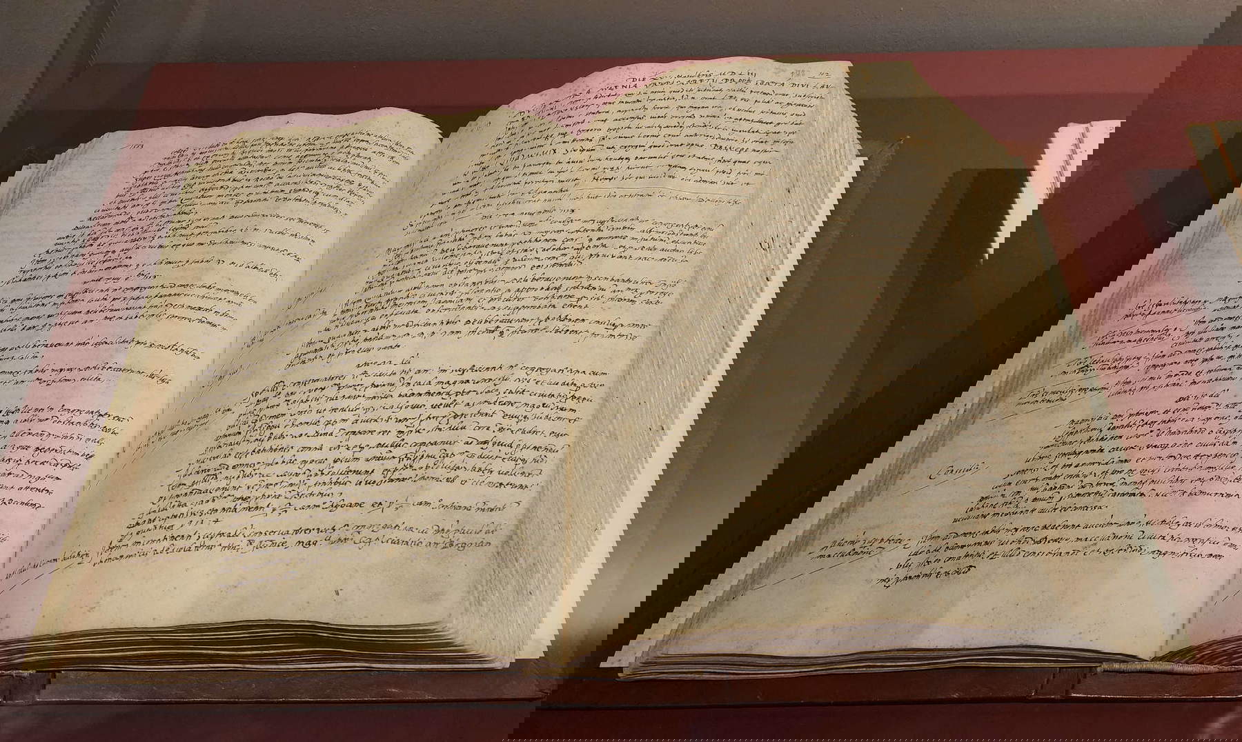 Actes et délibérations du parti des prieurs et du conseil général de la commune d'Arezzo avec la nouvelle de la découverte de la Chimère (15 novembre 1553 ; plume et encre noire, 30 &times; 45,5 &times; 11 cm ; Arezzo, Archives d'État d'Arezzo, Commune d'Arezzo, Délibérations et partis des prieurs et du conseil, 23, c. 102r).