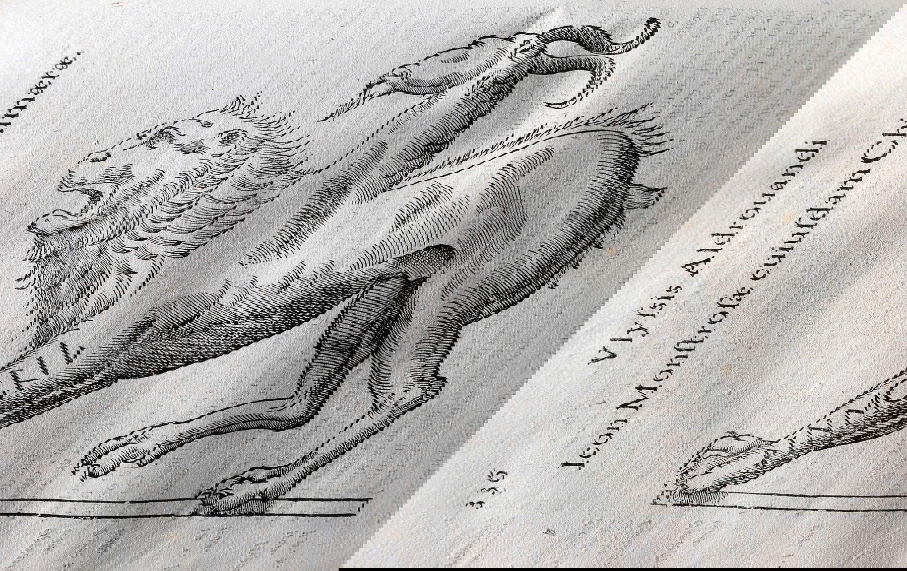 Ulisse Aldrovandi, Chimère de Monstrorum historia