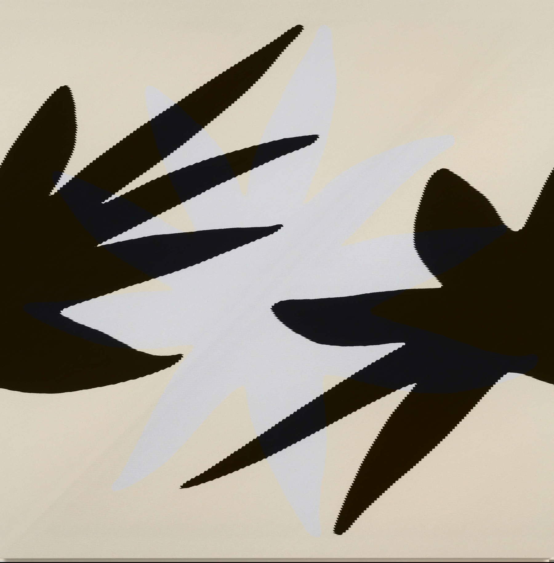 Adelaide Cioni, Stella nera (2025; lana cucita su tela, 167 x 167 cm)