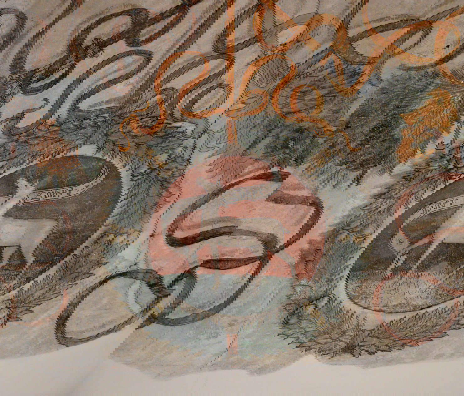 The emblem of the Cervetta depicted in the mural decoration of the western lunette of the Camera del Sole on the ground floor of the Castle of San Giorgio in Mantua, commissioned by Duke Francesco II Gonzaga and dated between 1484 and 1519.