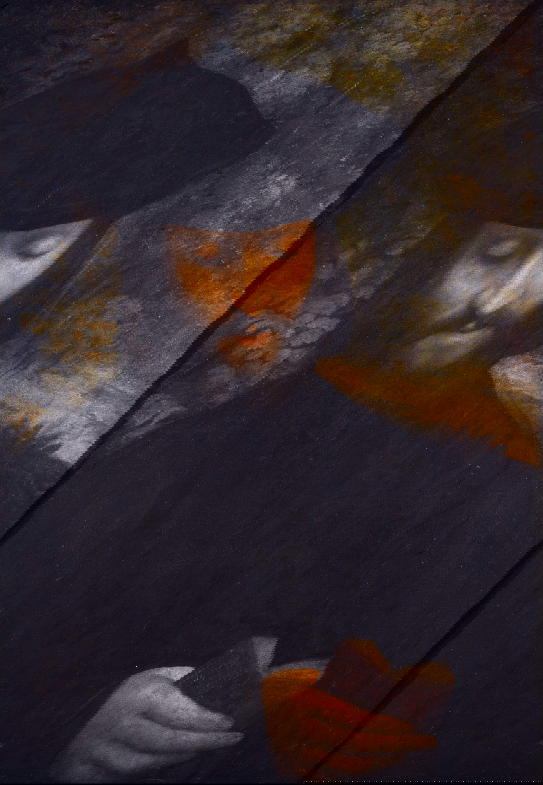 Correggio, Portrait of a Man Reading a Book or Portrait of a Gentleman with the 