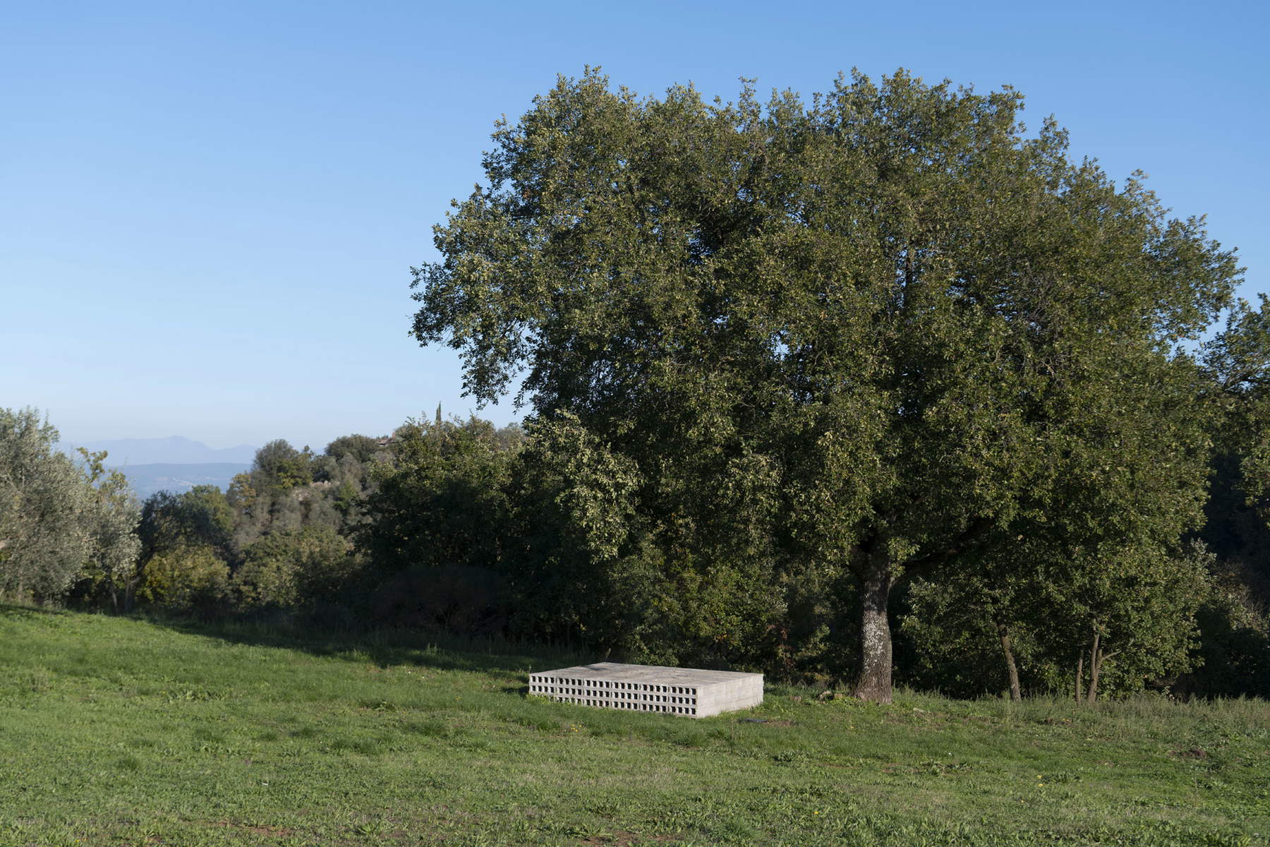 Paolo Grassino, Krieg ist immer (2019)