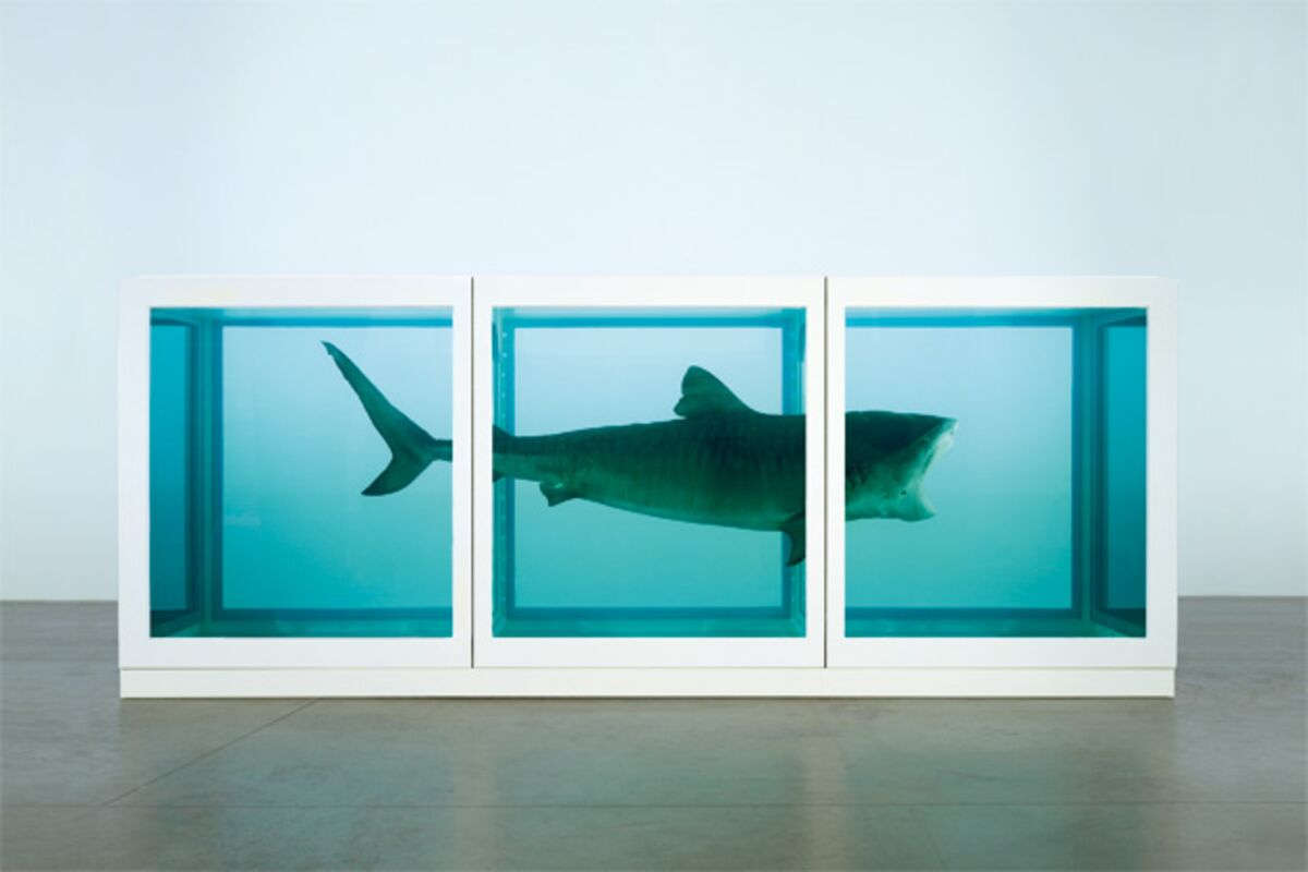 Damien Hirst, La imposibilidad física de la muerte en la mente de alguien vivo (1991; vidrio, acero pintado, silicona, tiburón y solución de formaldehído; 217 x 542 x 180 cm) Damien Hirst, La imposibilidad física de la muerte en la mente de alguien vivo (1991; vidrio, acero pintado, silicona, tiburón y solución de formaldehído; 217 x 542 x 180 cm)