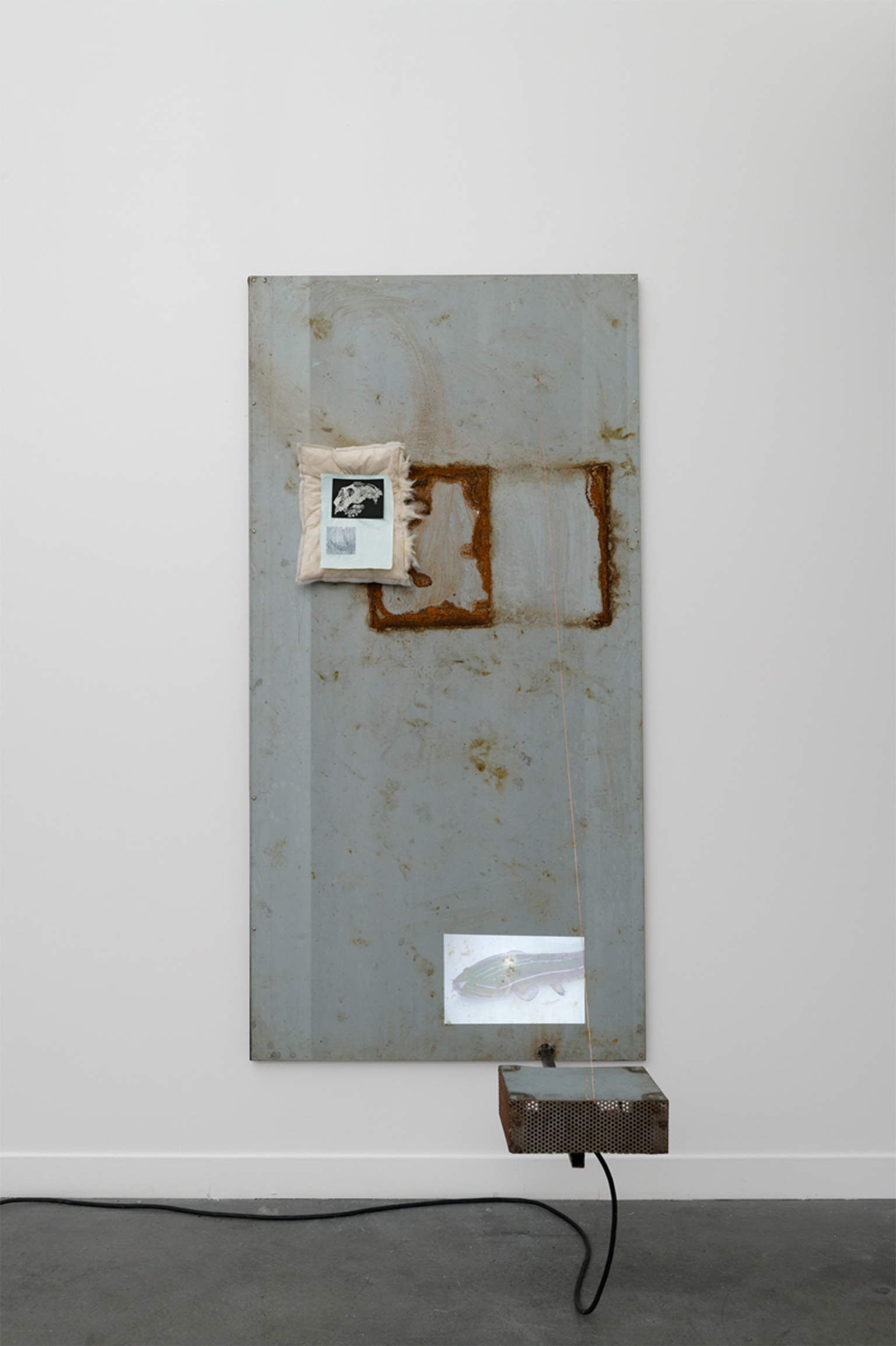 Mountaincutters, Heures teint&eacute;es (Amia Calva) (2024; Acero, proyección de vídeo, impresión optimizada sobre papel de algodón, imanes, ceiba, plástico reciclado cosido, papel, pintura, 200 x 100 cm). Presentado por Meessen