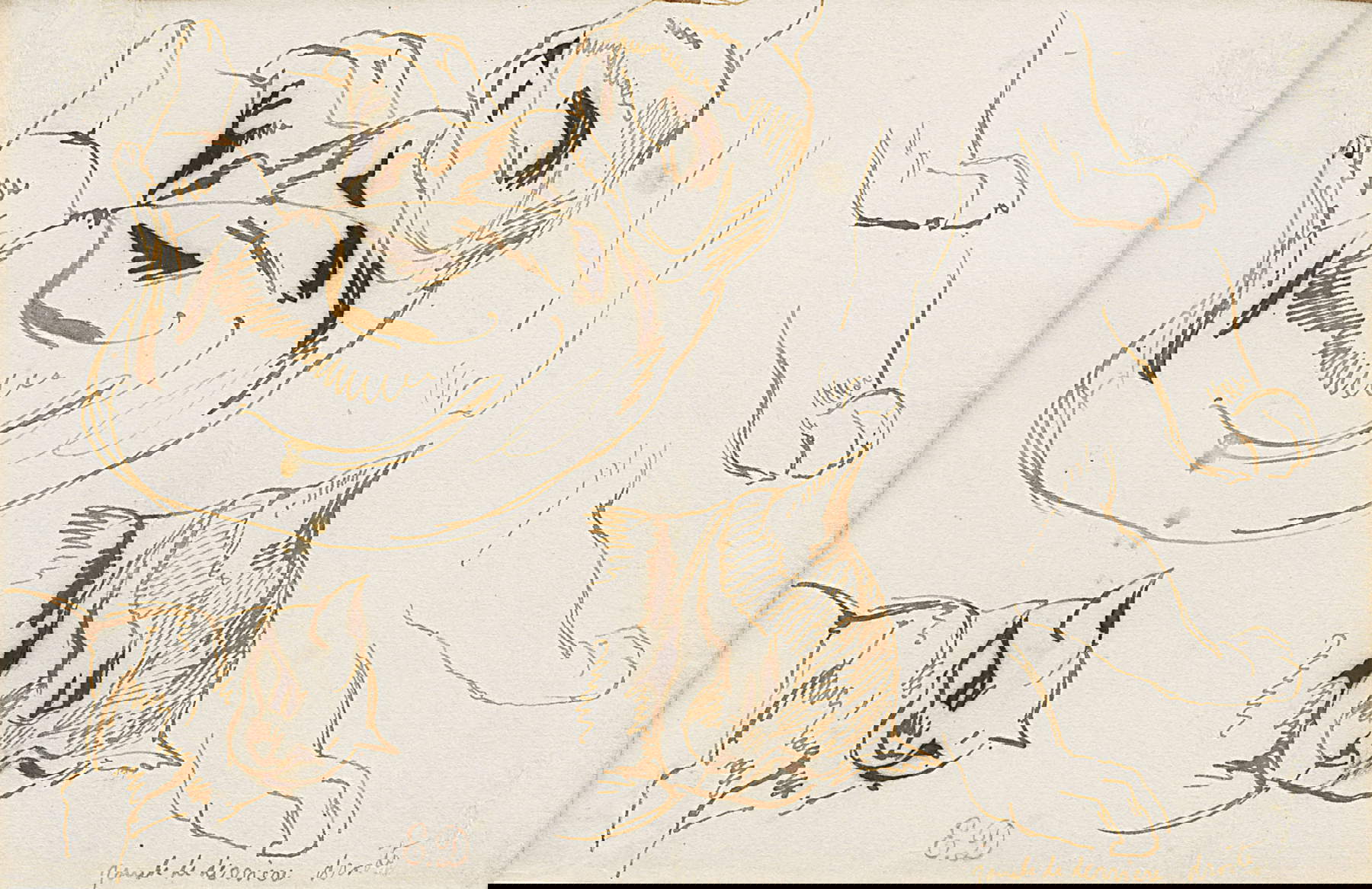 Eug&egrave;ne Delacroix, Studi di gatti (penna e inchiostro bruno su carta, 130 x 204 mm). Presentato da Paolo Antonacci