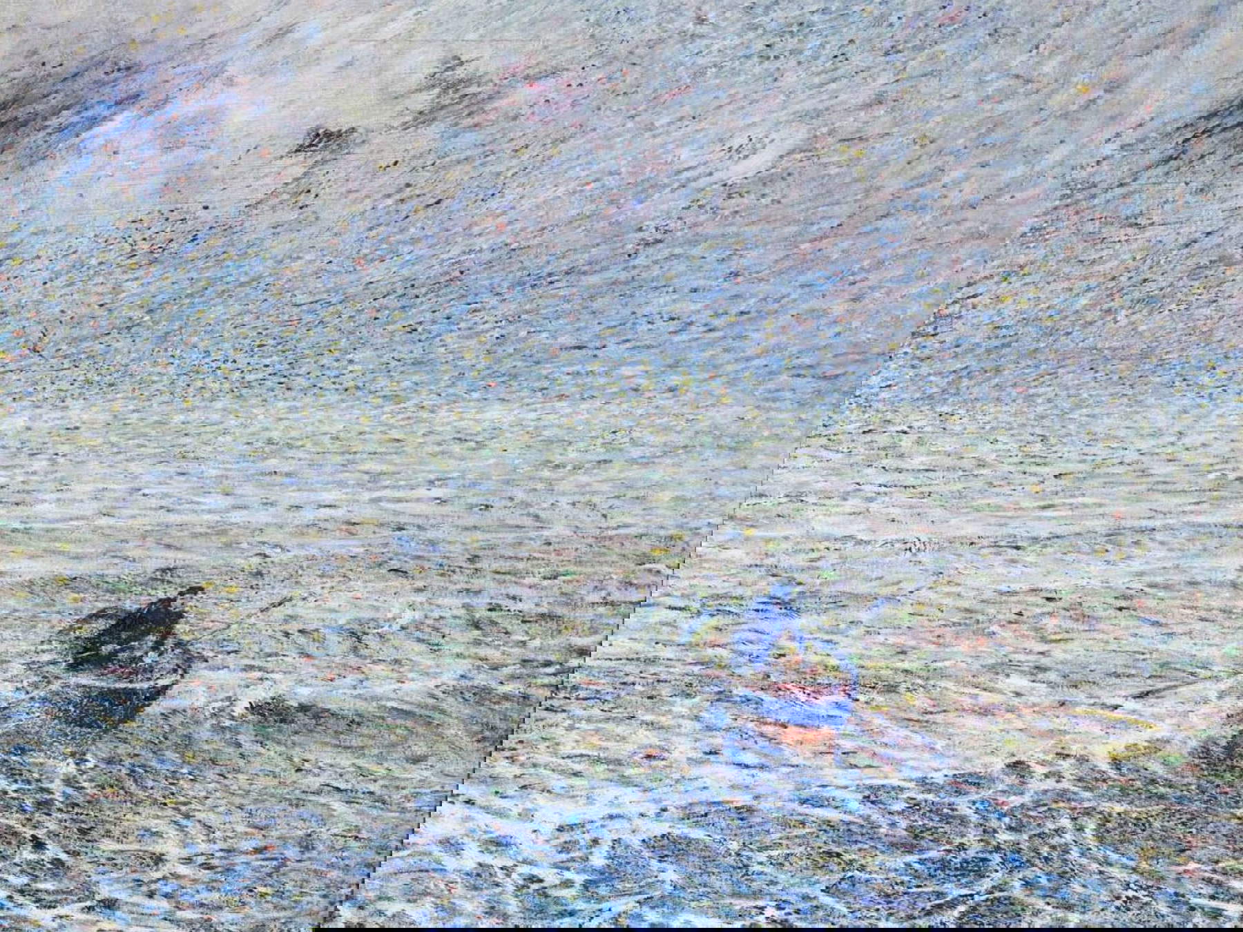 Plinio Nomellini, Sea of Genoa (Shipwreck) (1891; oil on canvas, 70 x 81 cm; Private collection). Courtesy of Galleria Arte Casa, Genoa