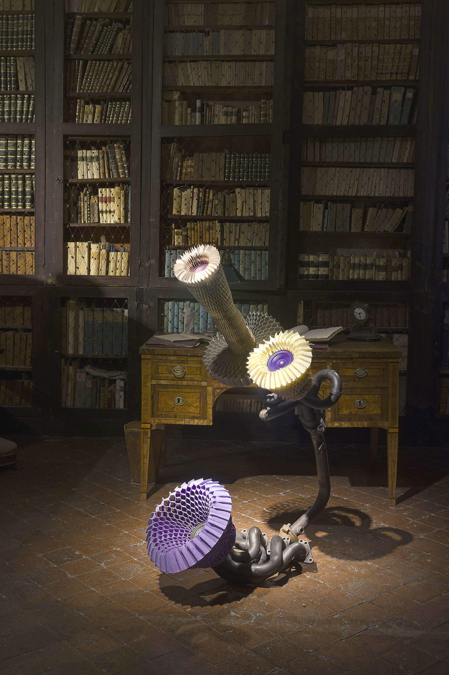 Diseños de exposiciones Keita Miyazaki. El jardín de las vanidades