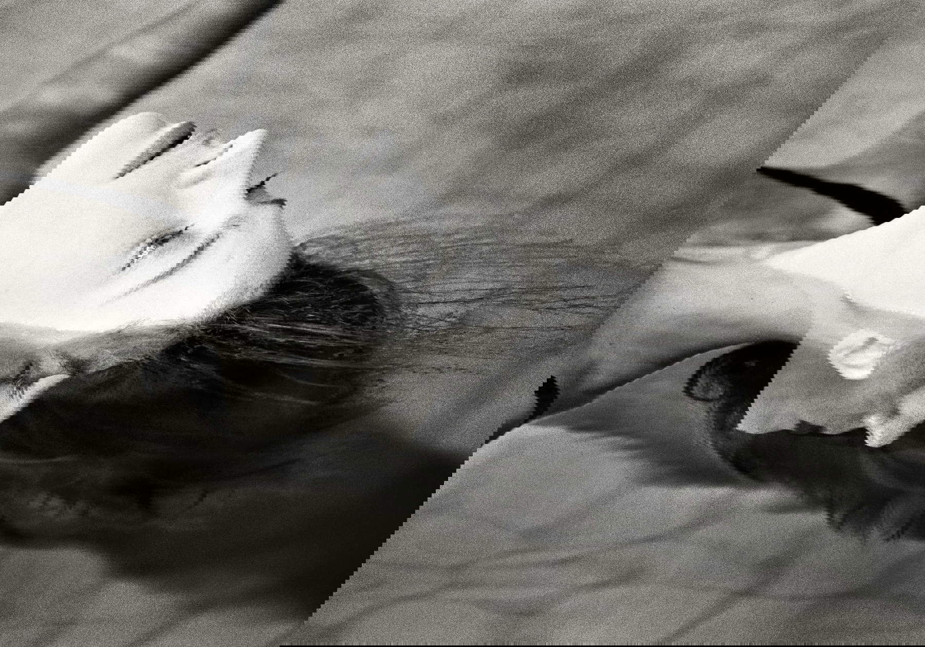 Lia Pasqualino, Anna Mouglalis, Ginebra, 2003