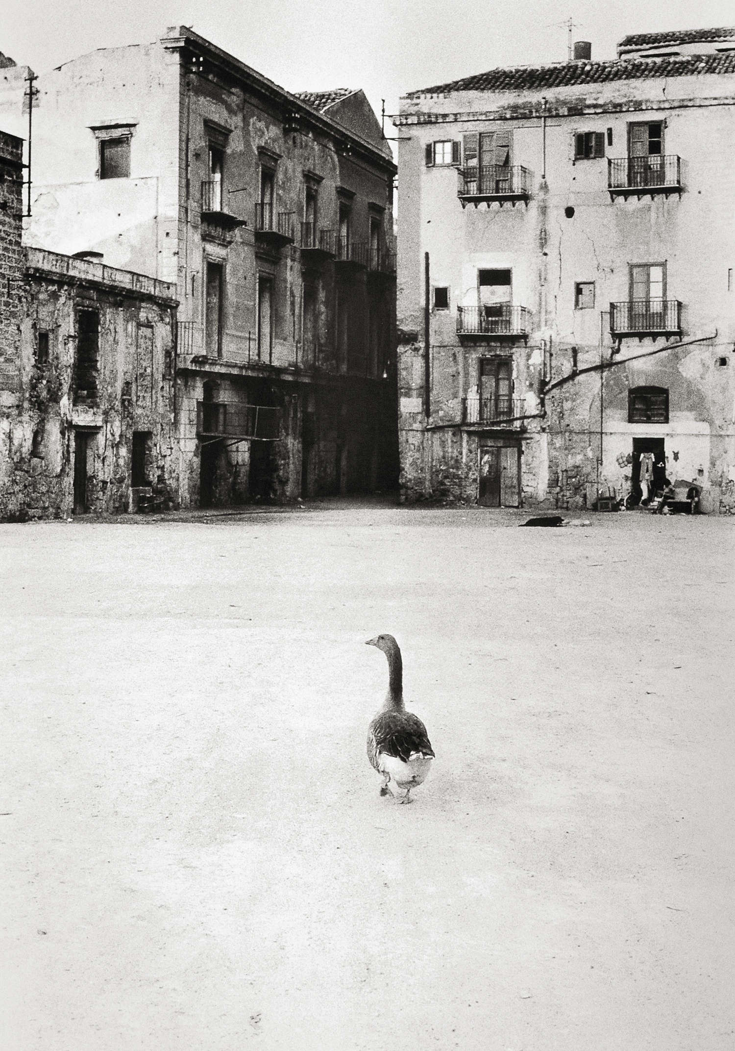 Lia Pasqualino, El ganso de la plaza Magione, Palermo, 1987