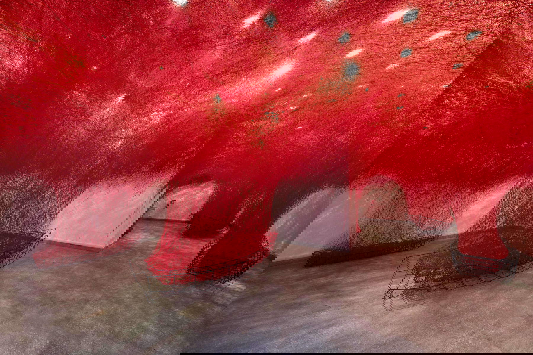 Chiharu Shiota, Viaje incierto (2016-2025; metal y lana, dimensiones variables). Vista de la instalación en la exposición Chiharu Shiota: The Soul Trembles, MAO Museo d'Arte Orientale, Turín, Italia, 2025. Foto: Giorgio Perottino. Cortesía de MAO Museo d'Arte Orientale