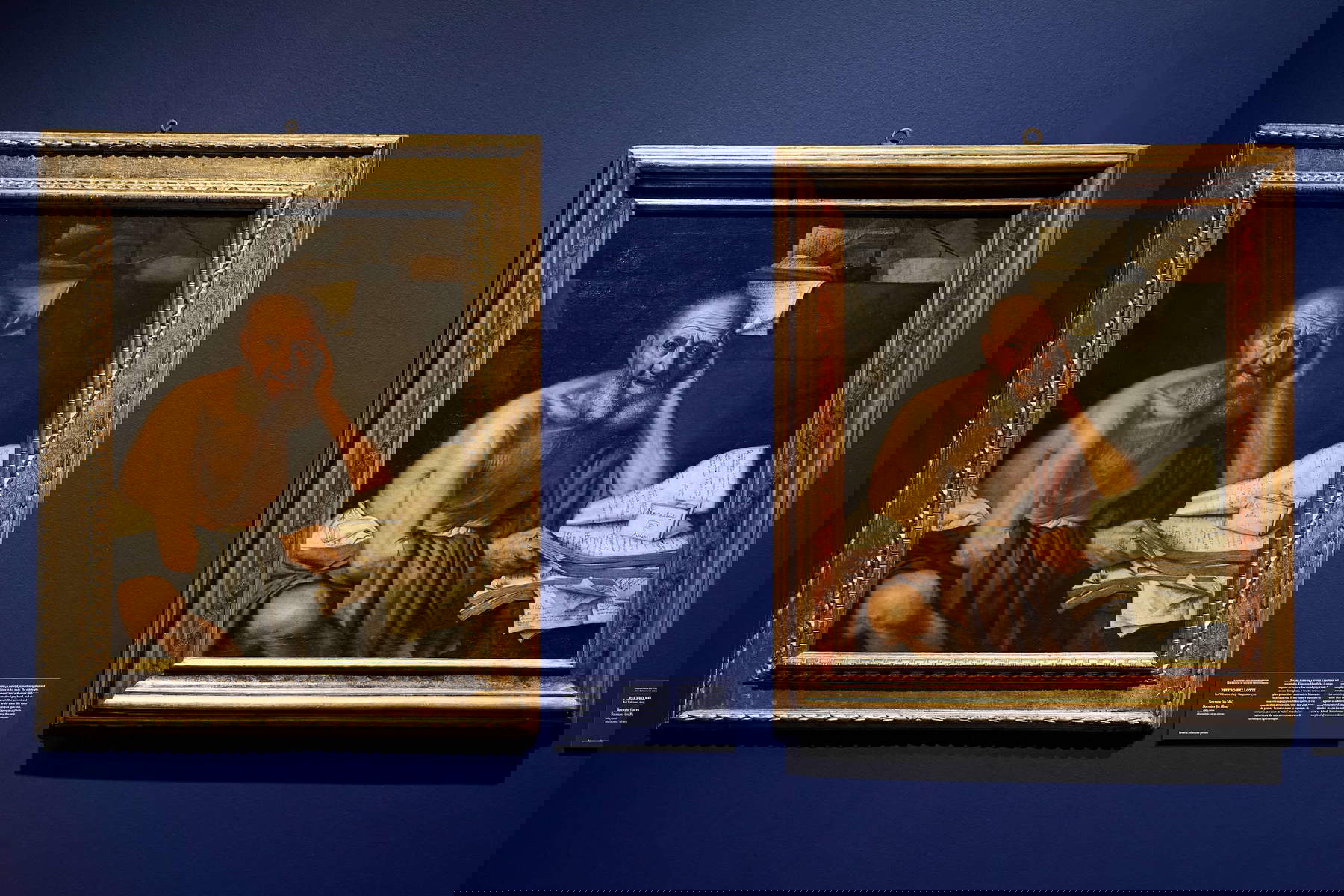 Arrangements for the exhibition Pietro Bellotti and seventeenth-century painting in Venice. Astonishment Reality Enigma. Photo: Chiara Rizzi