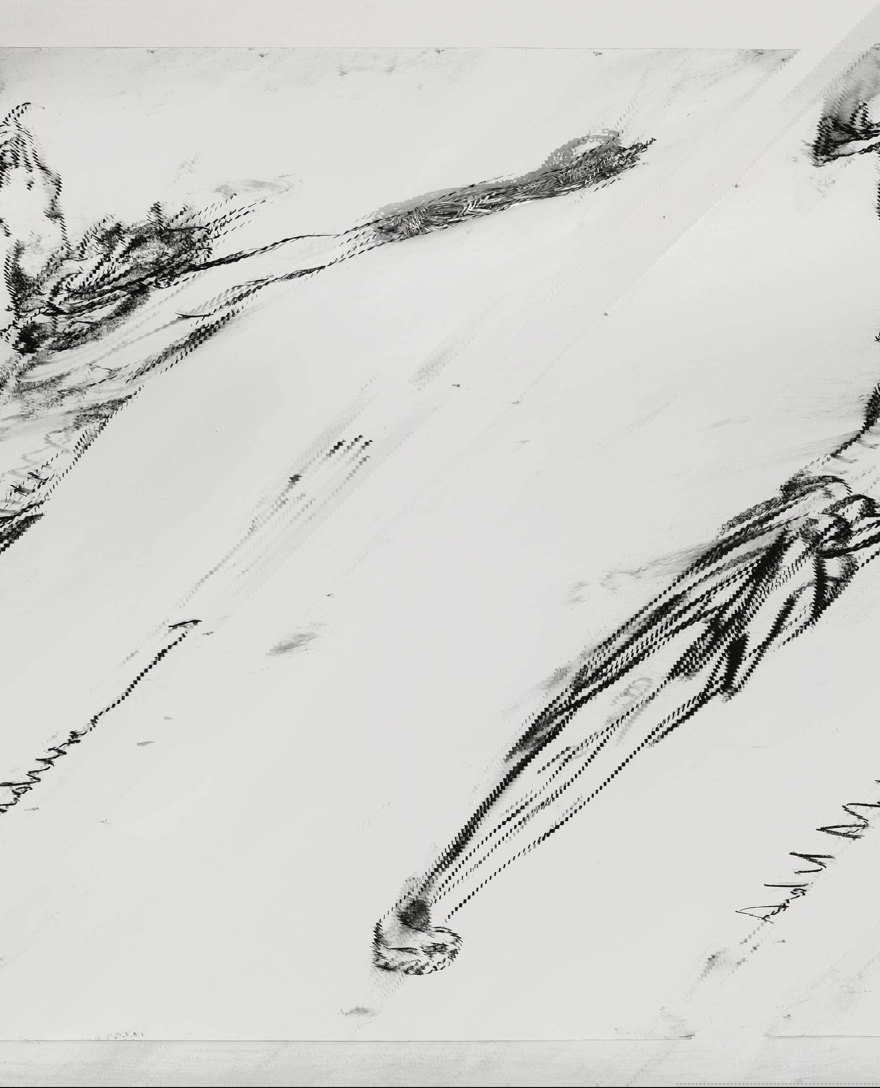 Adel Abdessemed, Histoire de l'Art (2010; Kohle und Pastell auf Papier, Stacheldraht, 271 x 218 cm) Courtesy of the artist and GALLERIA CONTINUA. Urheberrecht: &copy; Adel Abdessemed, Paris ADAGP 2025