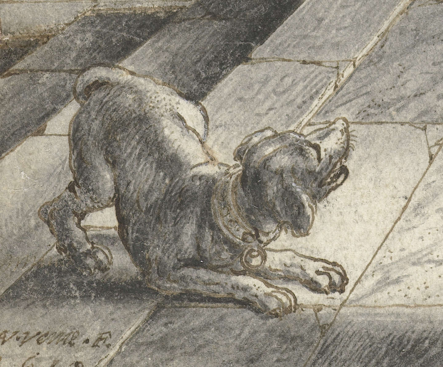 Il cane disegnato da Adriaen van de Venne