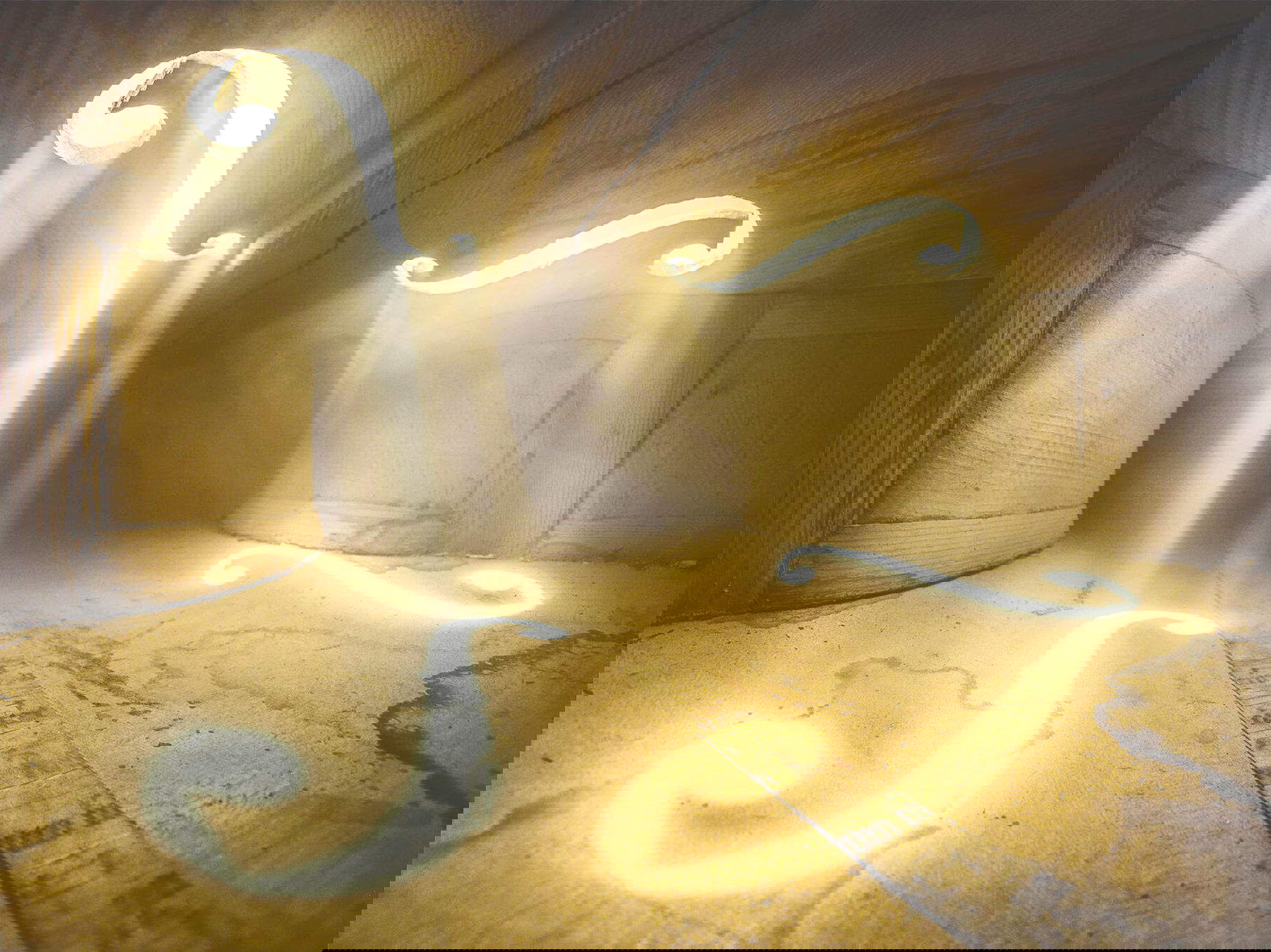 Adrian Borda, Inside Violin #1 (2018 ; photographie) &copy; Adrian Borda