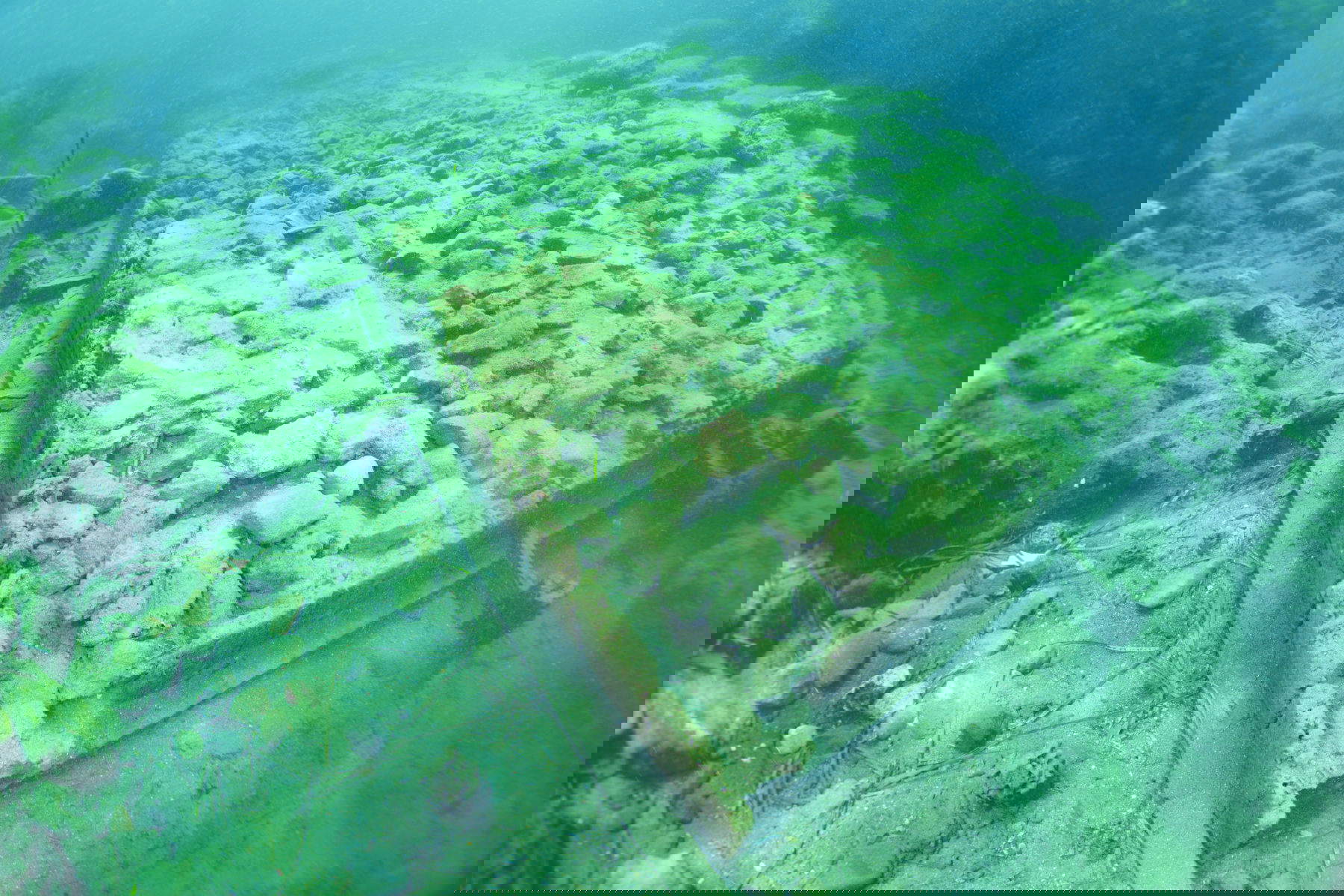 Quai du port d'Aenaria