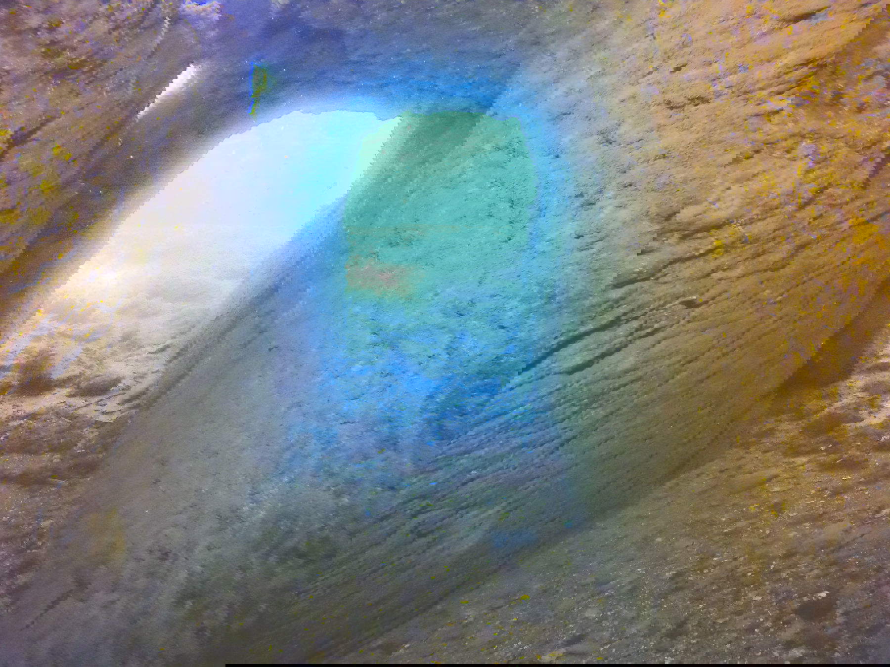 Aenaria, la galerie des villas maritimes