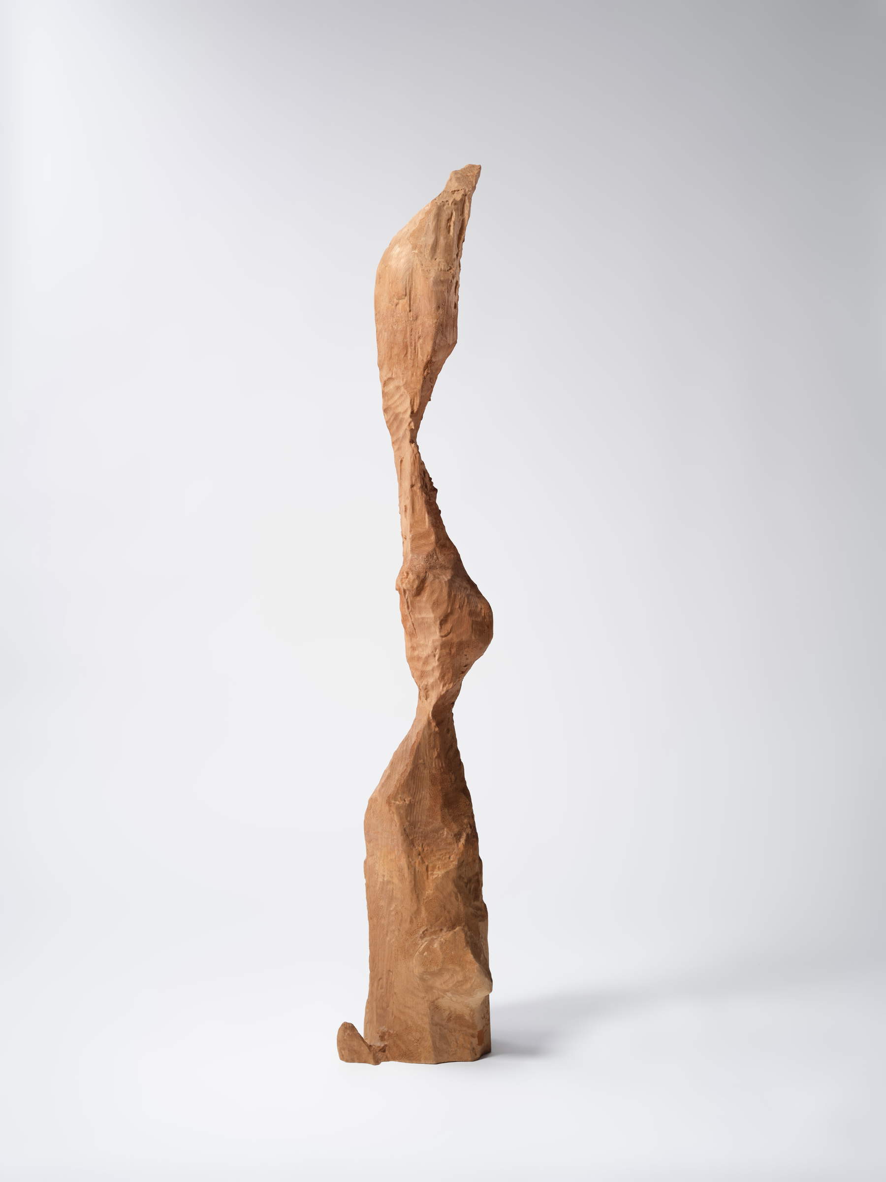 Aki Inomata, How to Carve a Sculpture &ndash; Yuzu I (2018; Rivoli-Torino, Castello di Rivoli Museo d'Arte Contemporanea). Donazione di Hiroyuki Maki. Foto Hayato Wakabayash