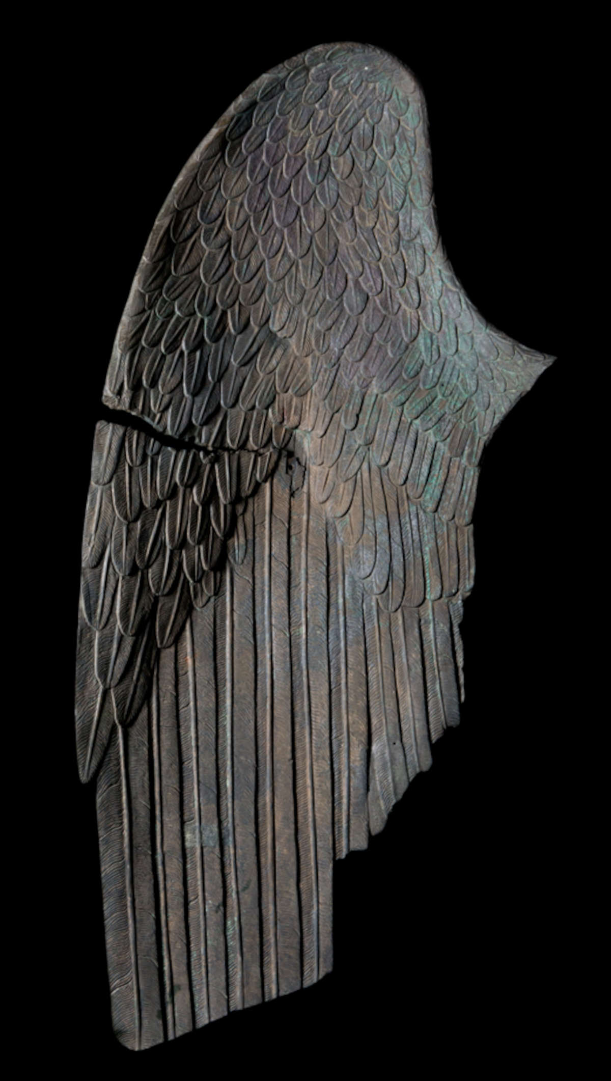 Rechter Flügel des Geflügelten Sieges