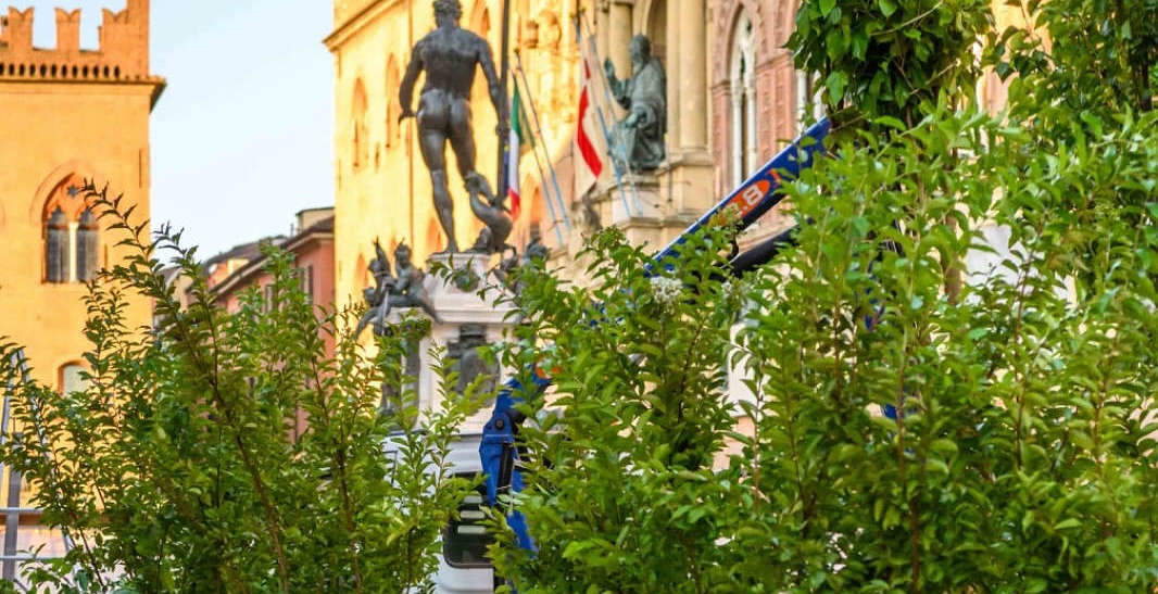 Bologna, tree nursery trees in squares against heat emergency. Criticism abounds
