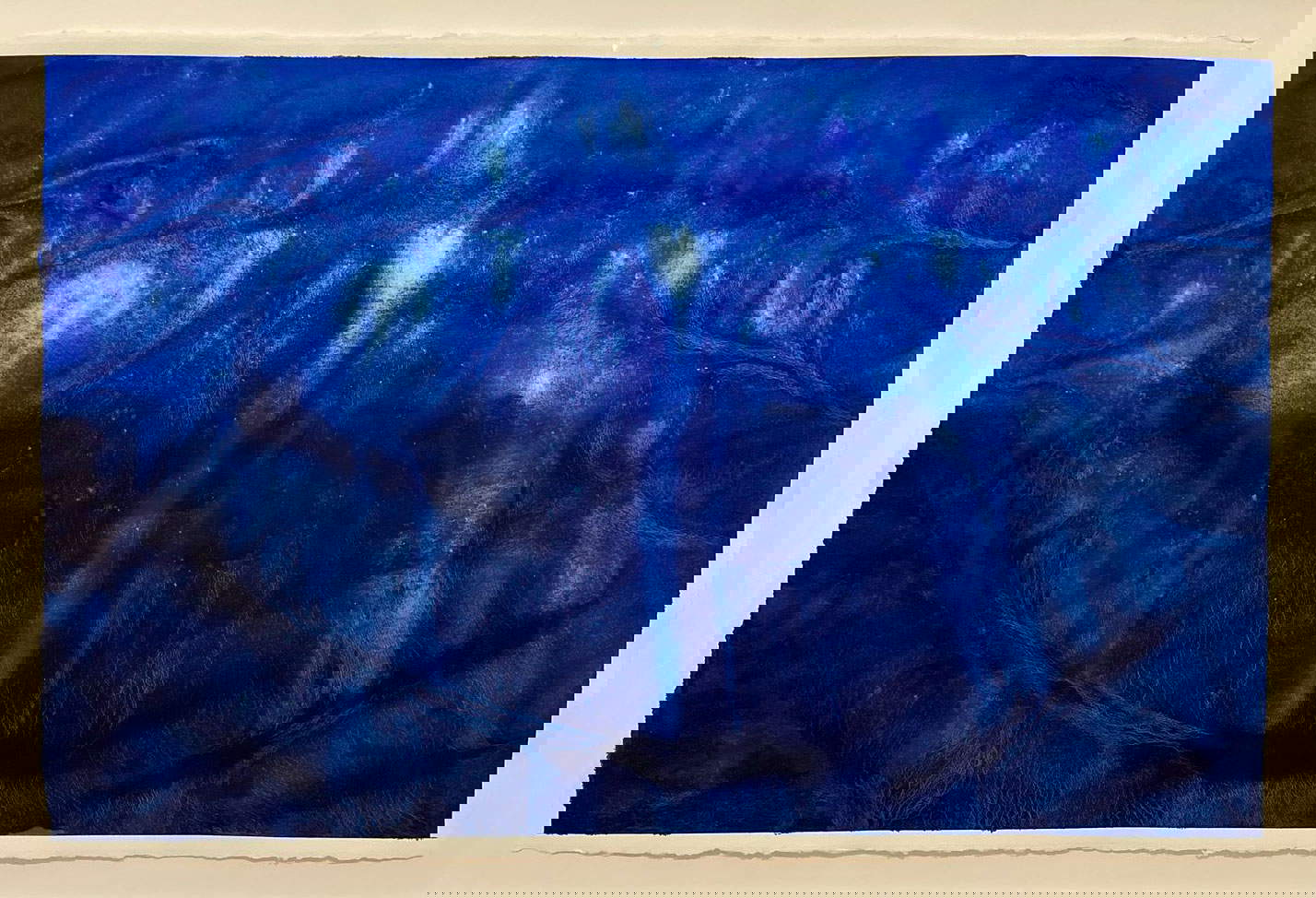 Alex Cecchetti, Blue Underwater Vision