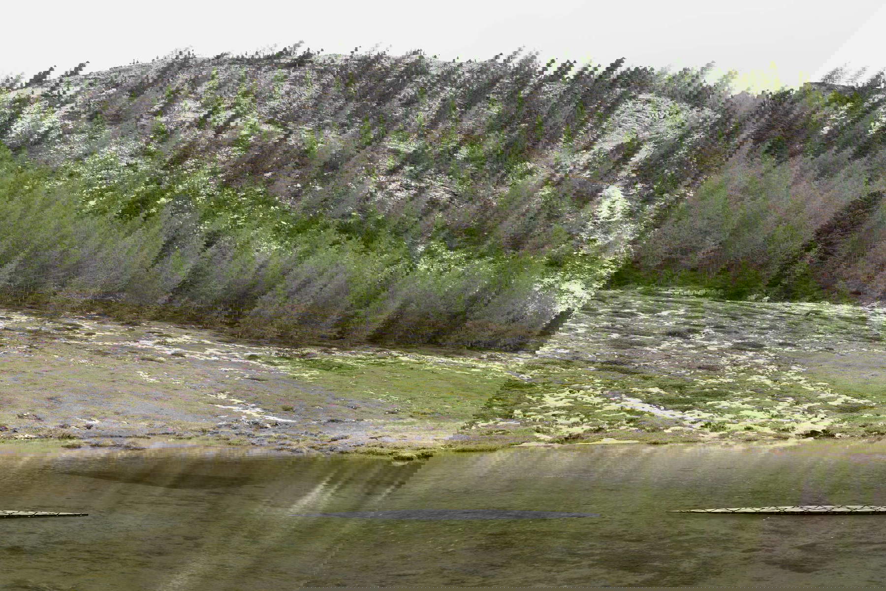 Alex Xiaotan Yang und Wentao Guo, Verschränkung