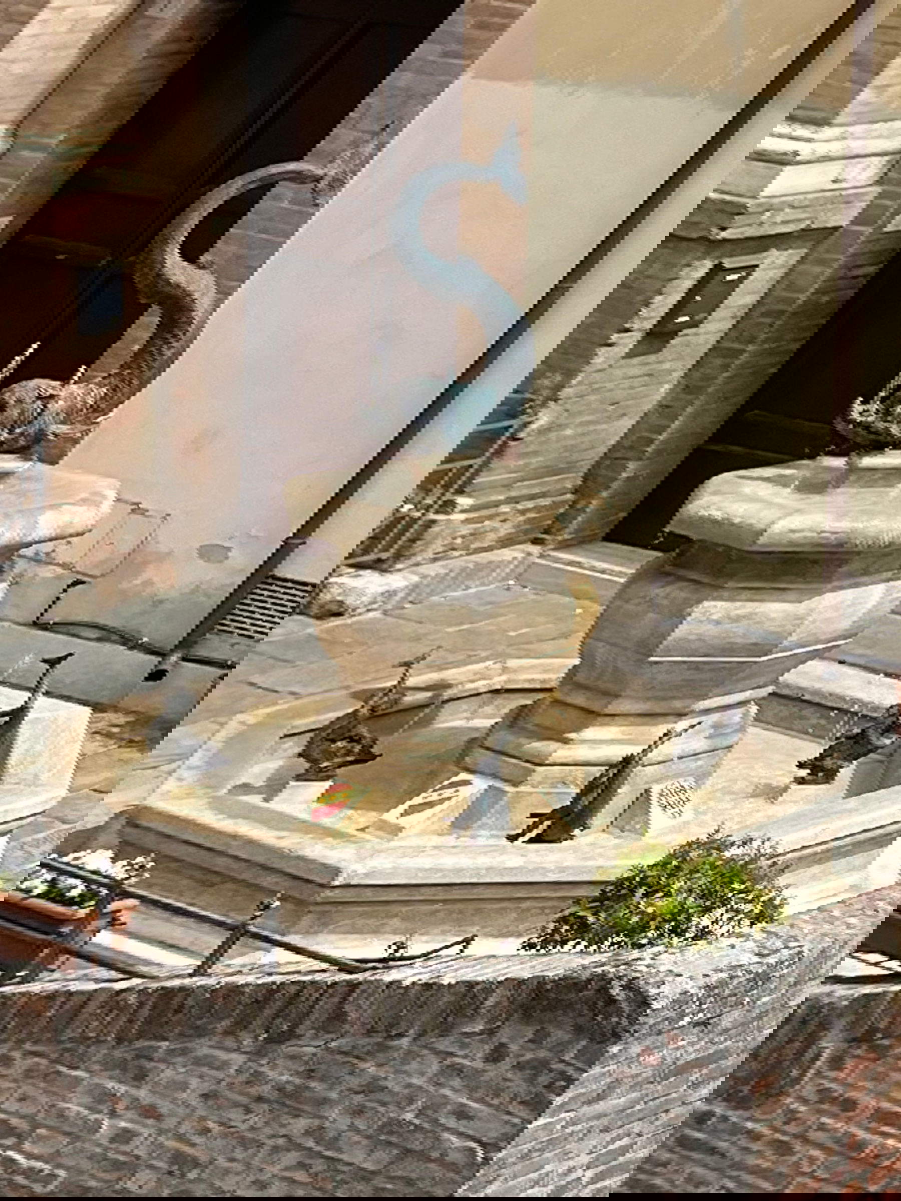 Algero Rosi, la Fontanina della Contrada dell&rsquo;Onda. Foto: Wikimedia Commons - Ushenna Elyolah