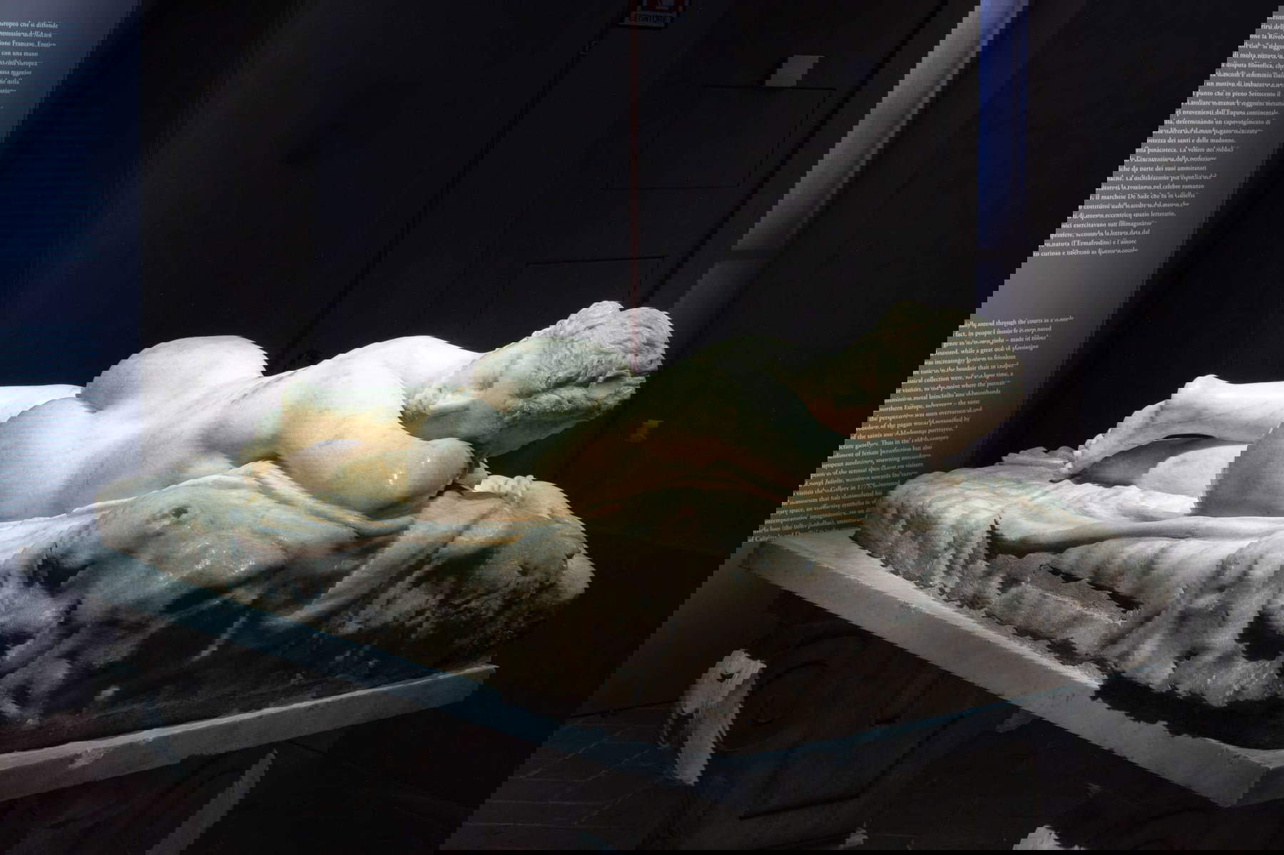 Allestimenti della mostra