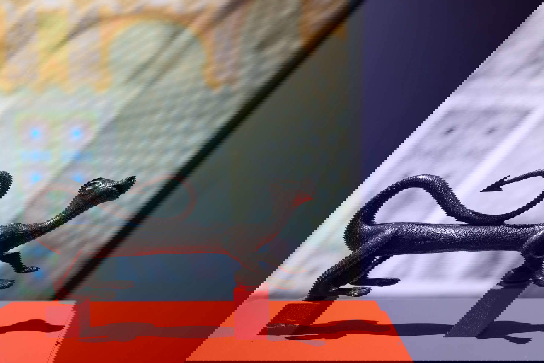 Allestimenti della mostra