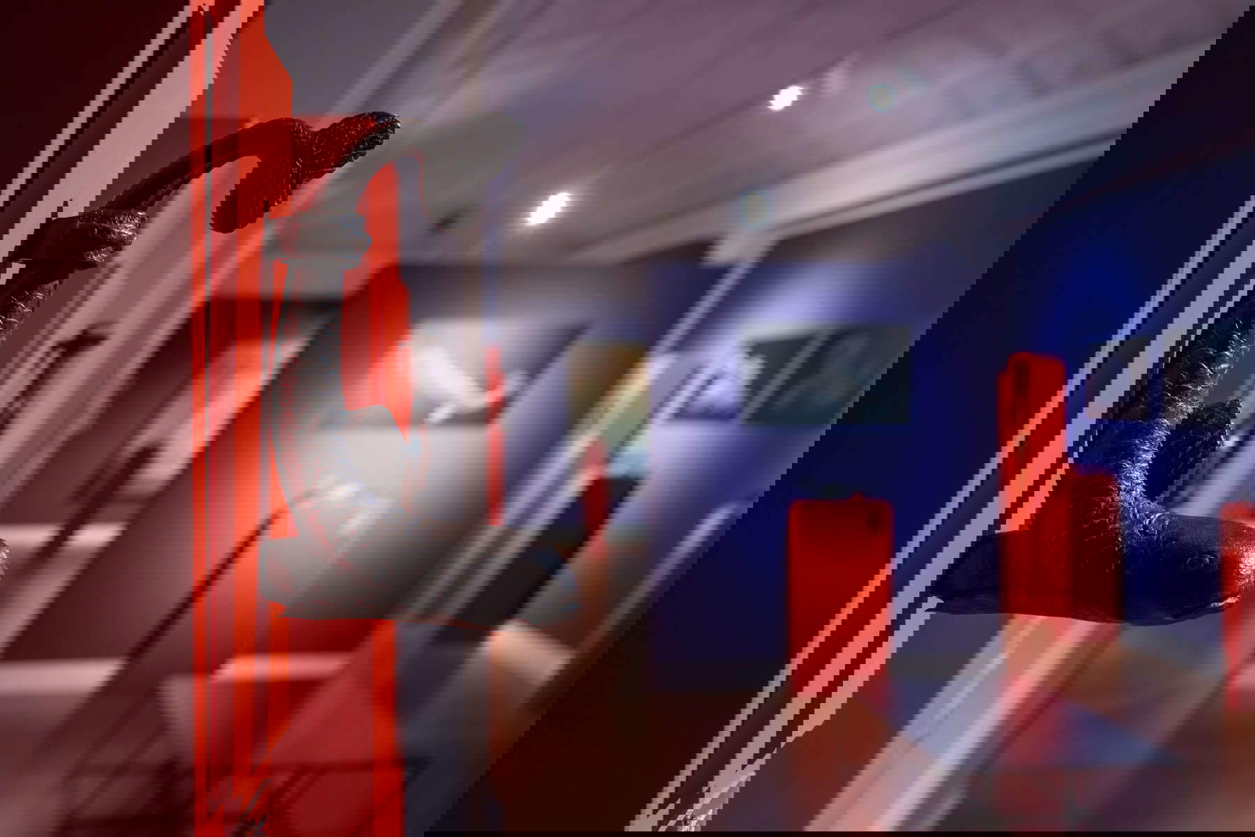 Allestimenti della mostra