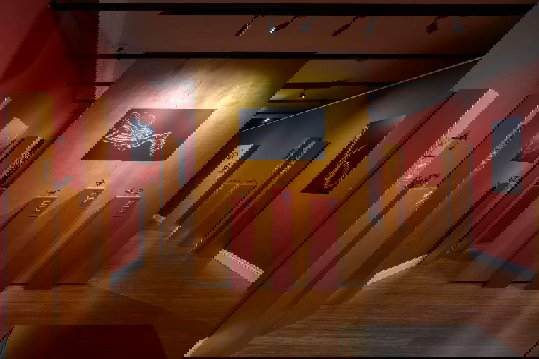 Allestimenti della mostra