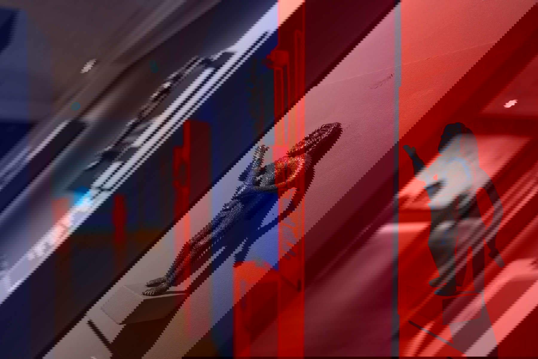 Allestimenti della mostra