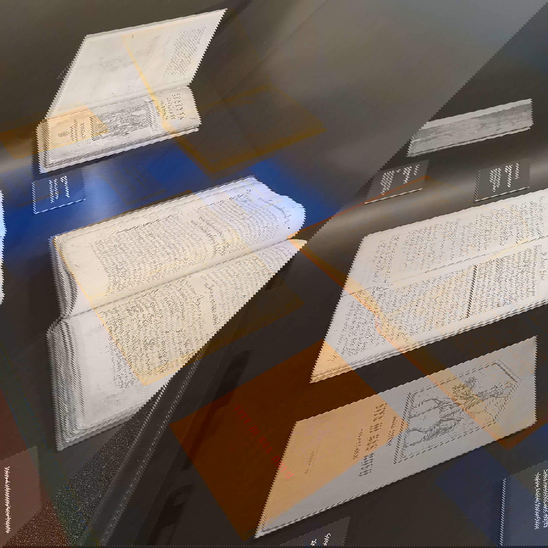 Allestimenti della mostra Pellegrini di Speranza. Bovo, Contardo, Rocco