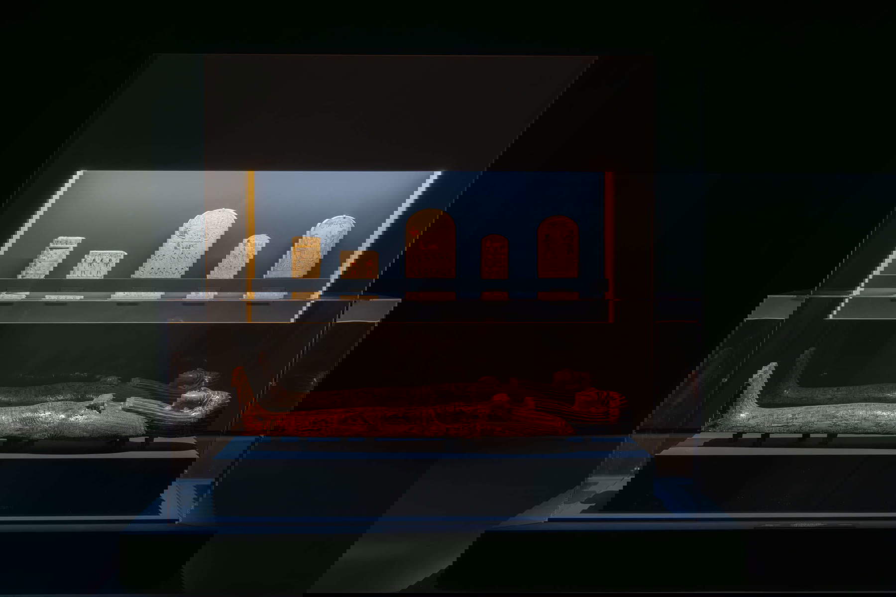 Montaje de la exposición. Fotos: Monkeys Video Lab