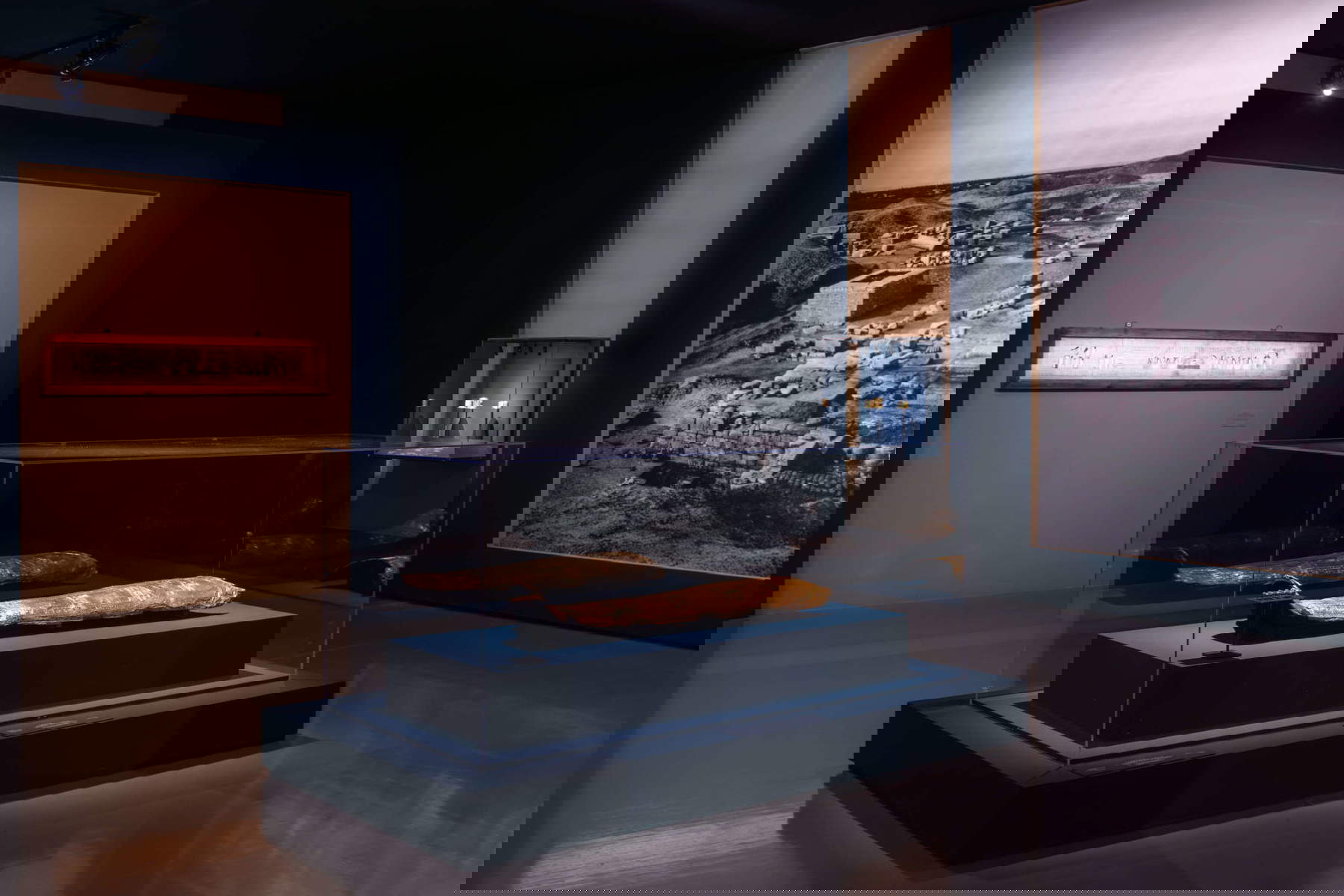 Allestimenti della mostra. Foto: Monkeys Video Lab