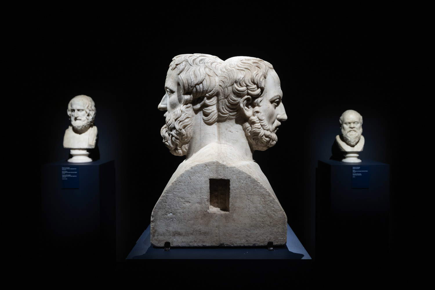 Allestimenti. Foto di Monkeys Video Lab