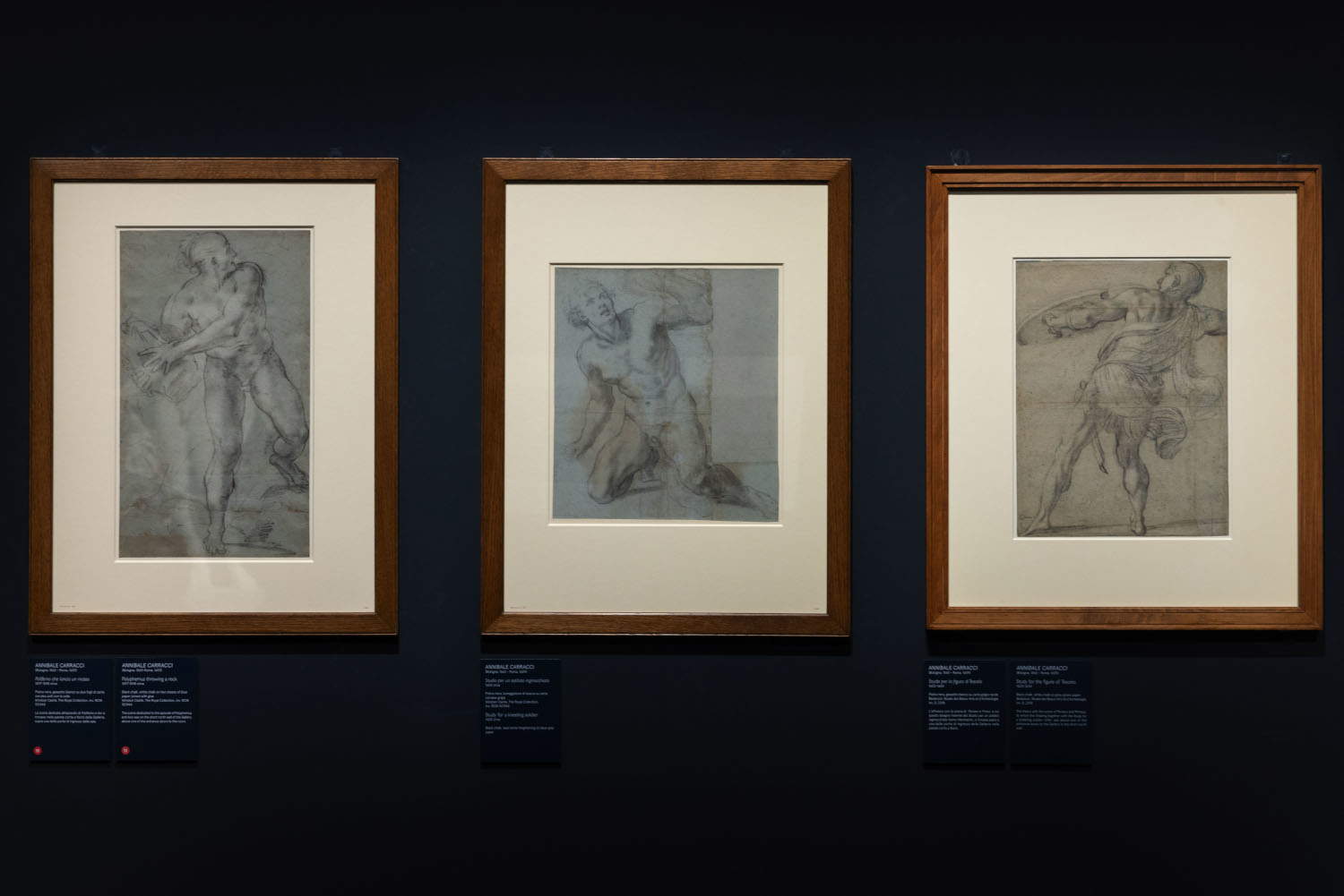 Allestimenti. Foto di Monkeys Video Lab