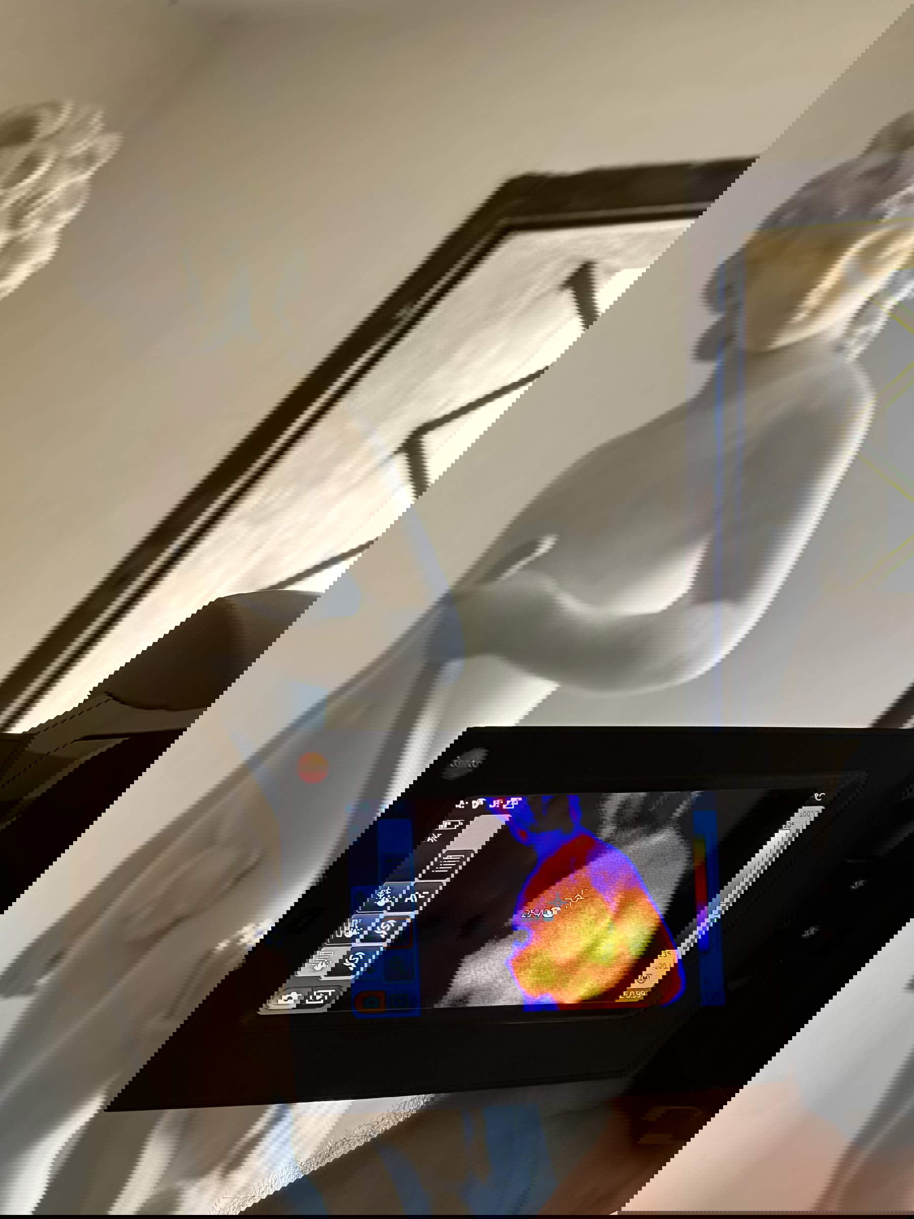 L'Amorino Lubomirski