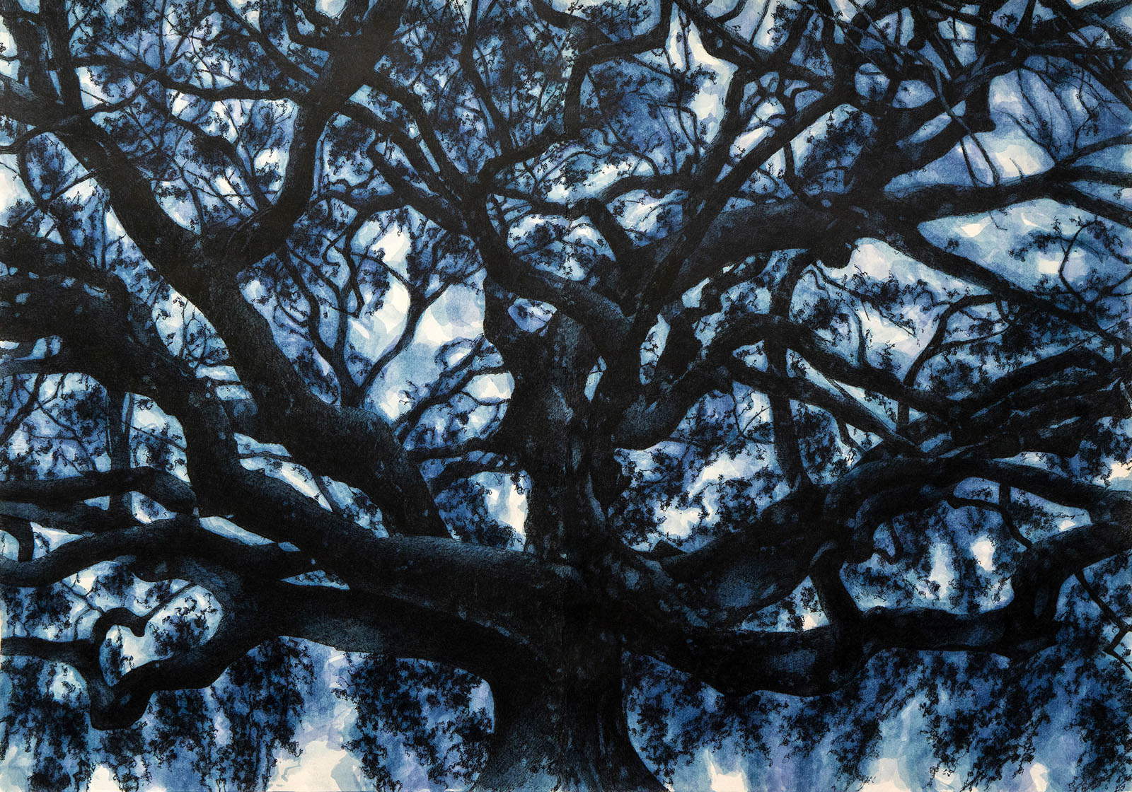 Andrea Chiesi - L'arbre de vie (2024 ; encre de Chine et marqueur sur papier sur carton, 100 x 140 cm)
