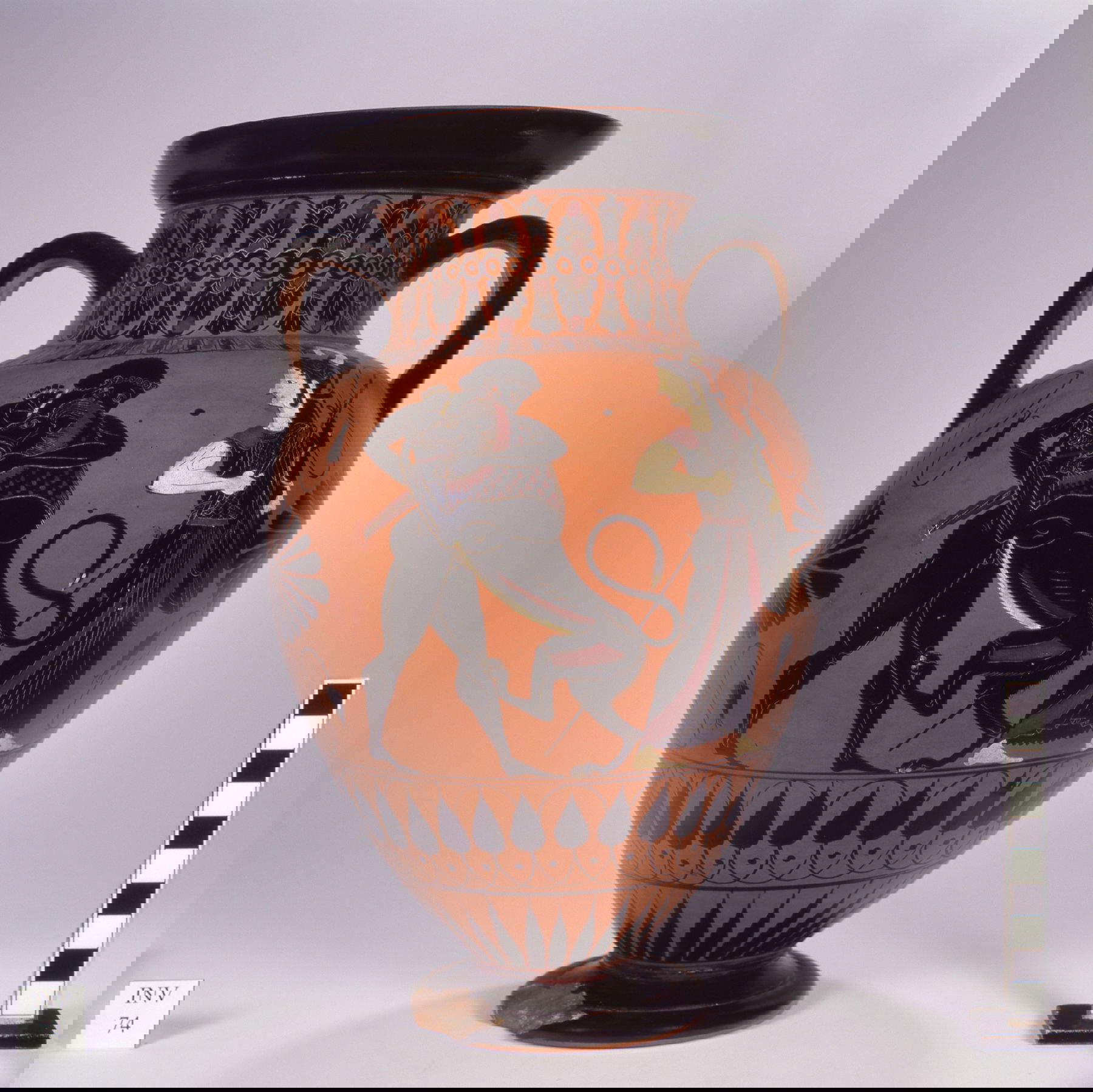 Attische schwarzfigurige Amphore, die dem Maler der Konservatoren zugeschrieben wird, Herkules ringt mit dem nemeischen Löwen in Gegenwart von Athene (550-500 v. Chr.; Terrakotta; Rom, Kapitolinische Museen, Sammlung Augusto Castellani - Inv. CA 74) &copy; Sovrintendenza Capitolina ai Beni Culturali